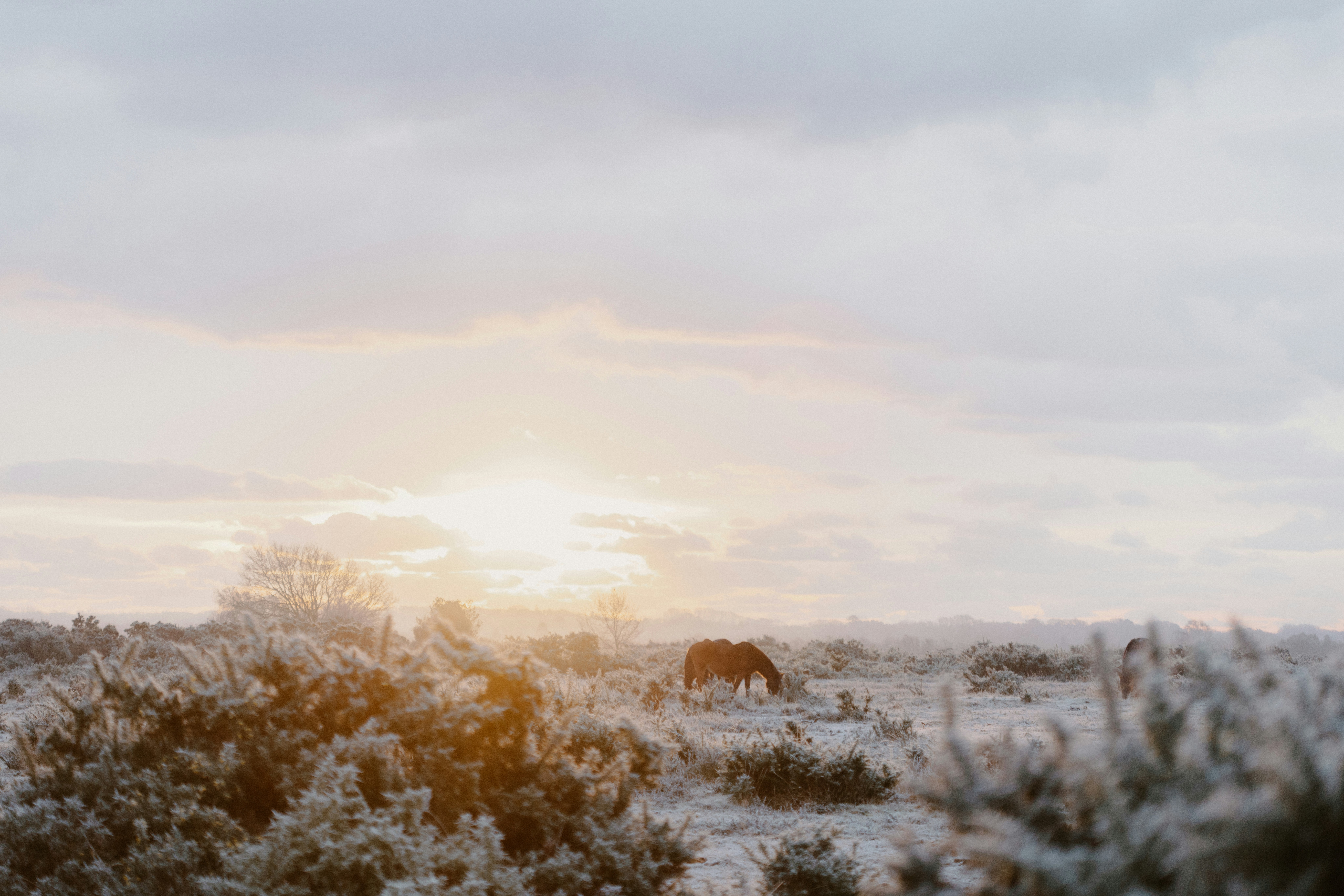 Photo by anniespratt