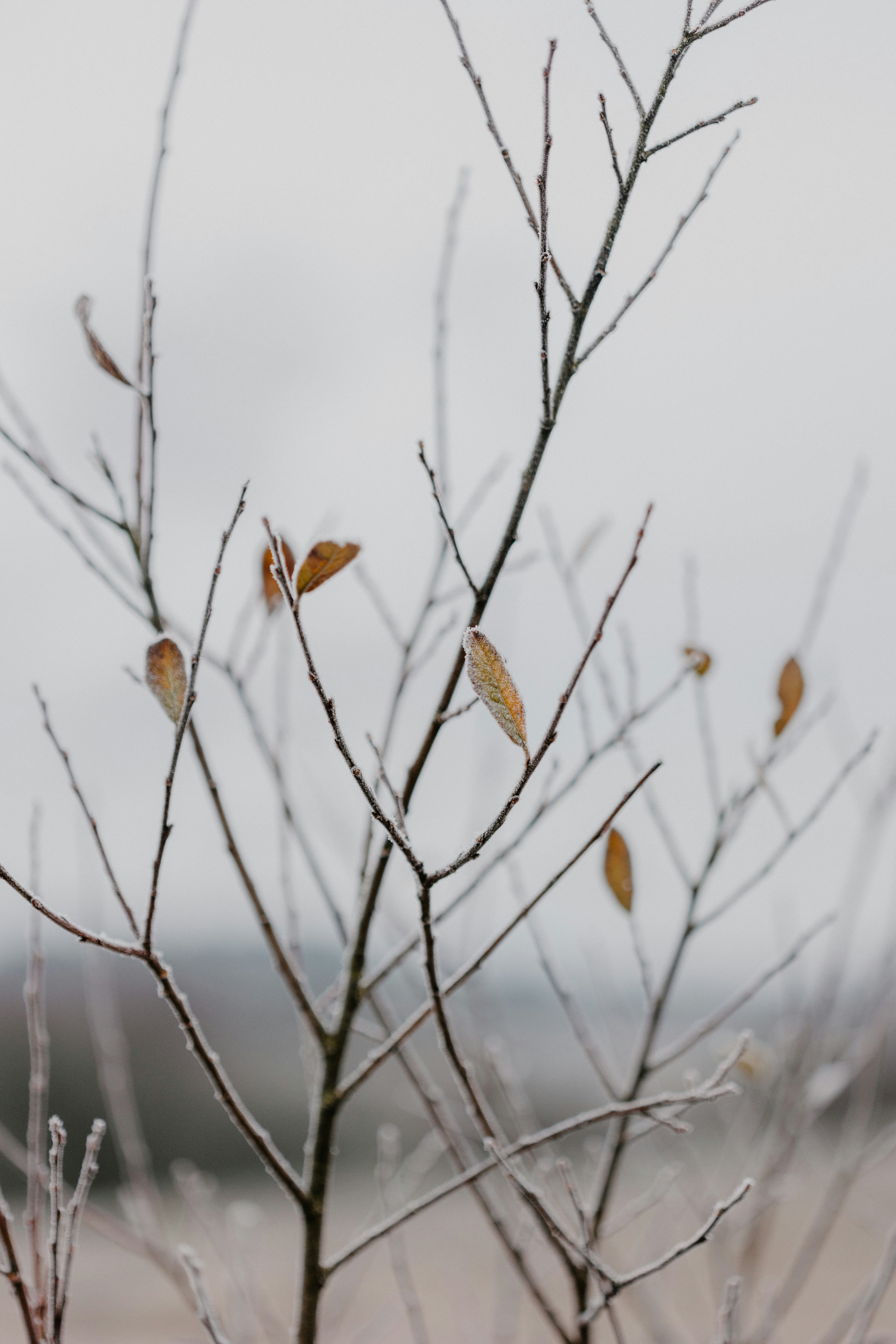 Photo by anniespratt