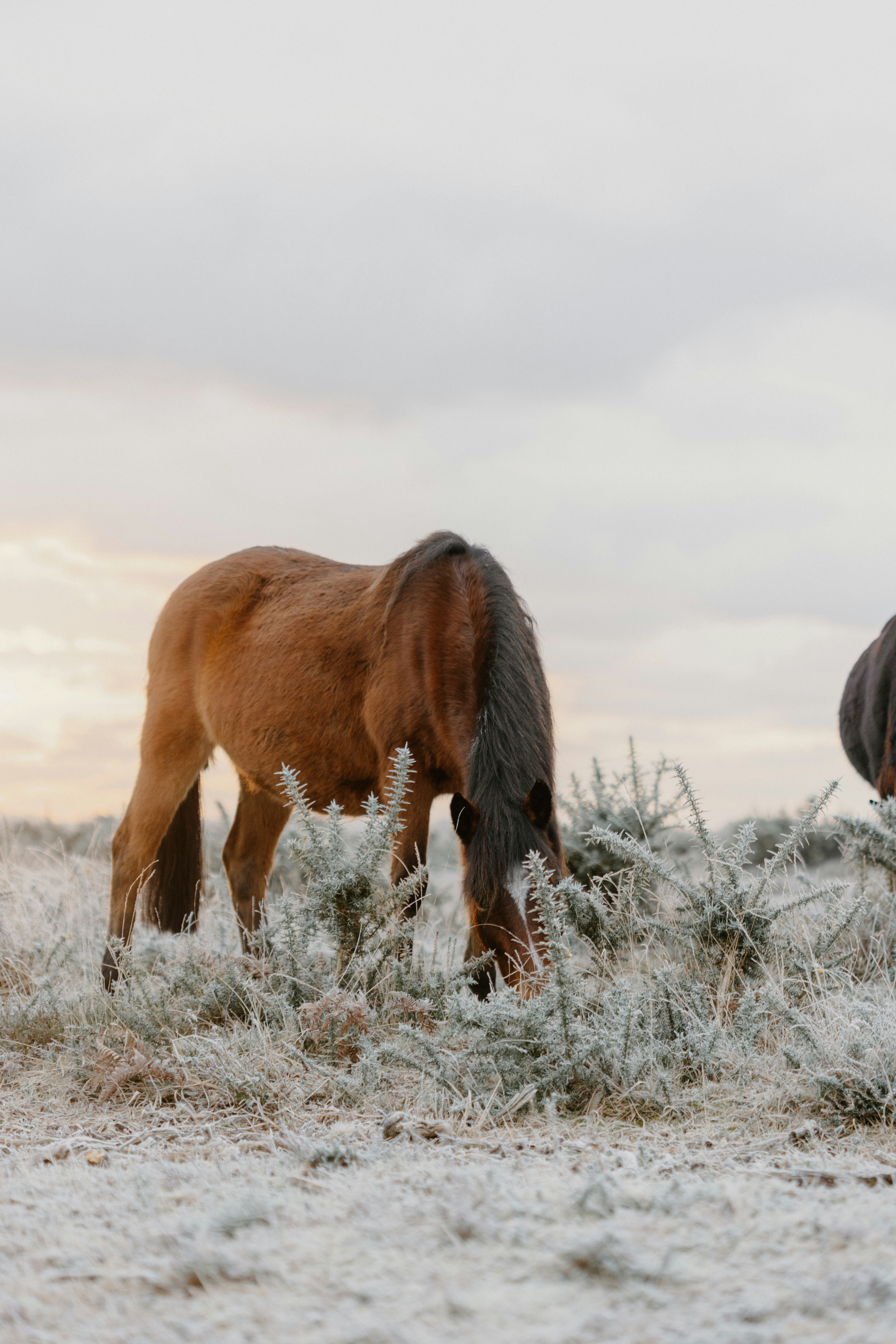 Photo by anniespratt