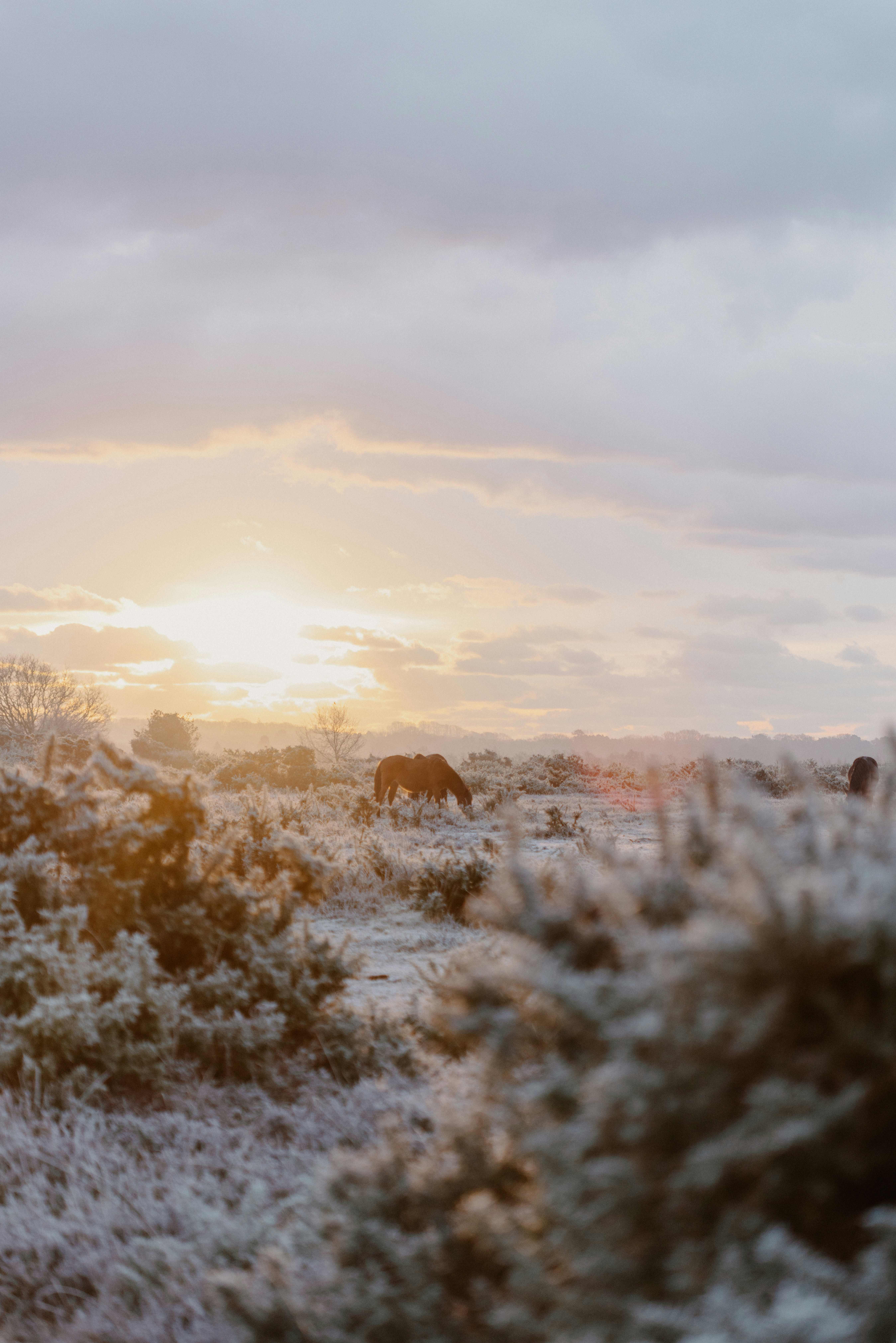 Photo by anniespratt