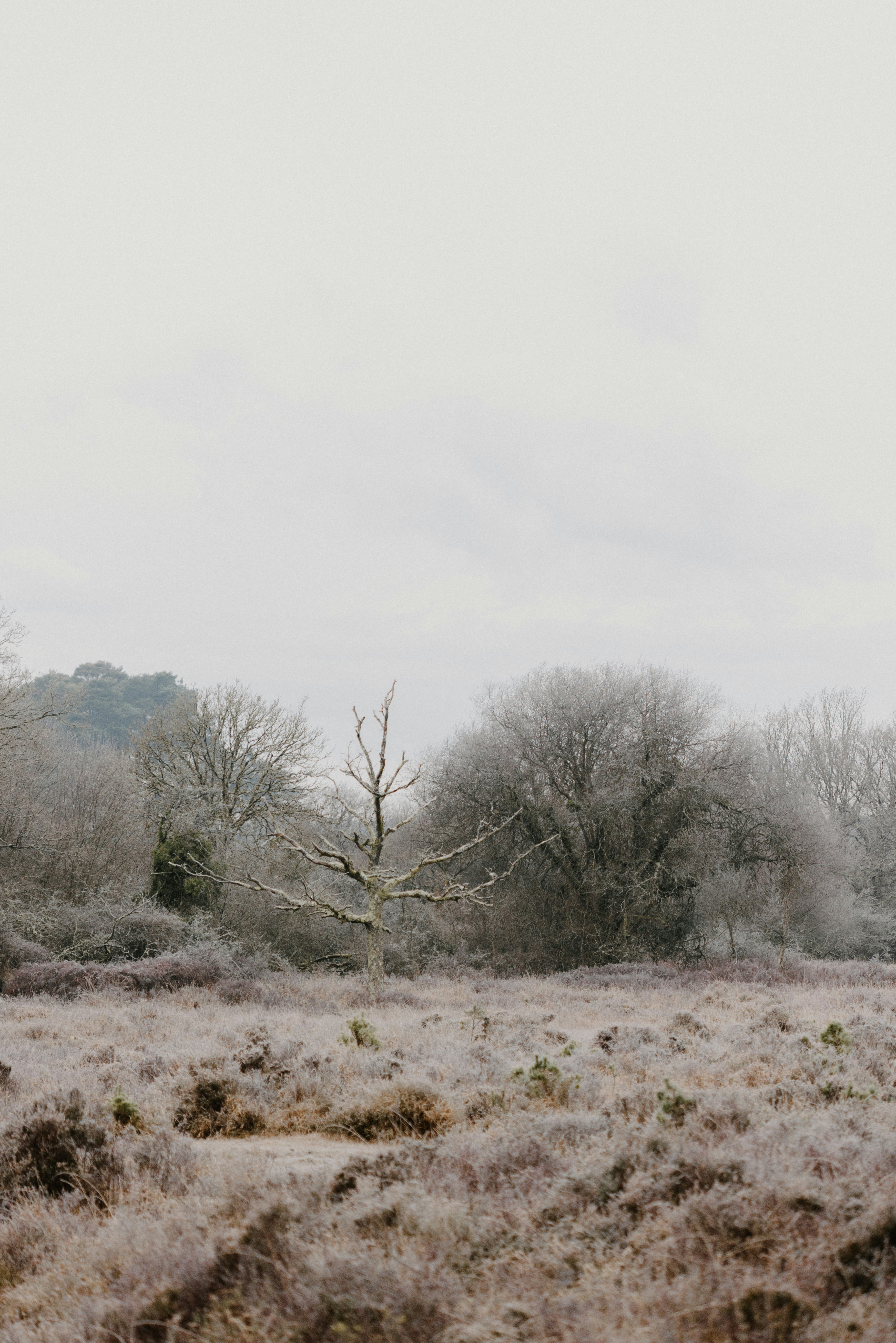 Photo by anniespratt