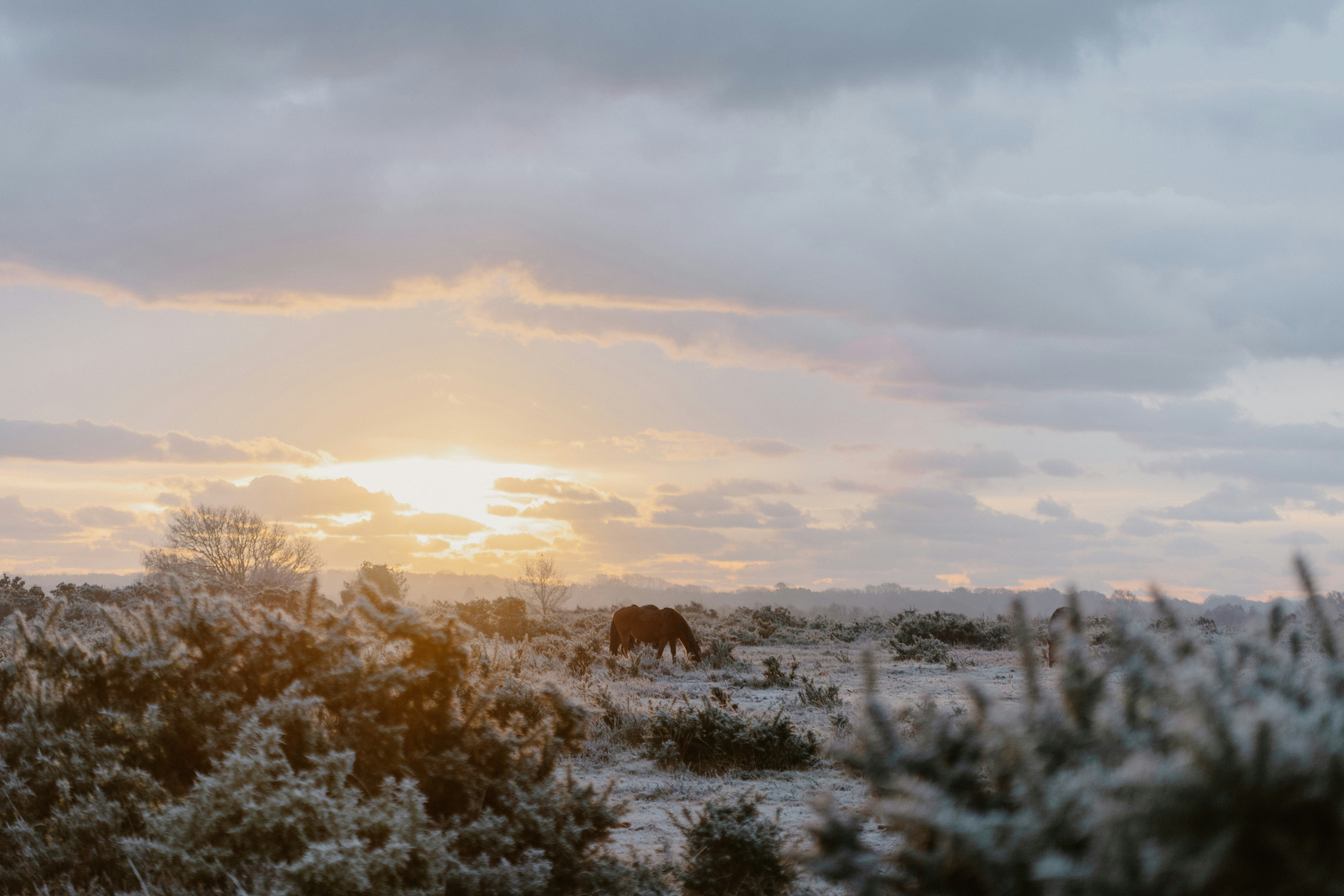 Photo by anniespratt