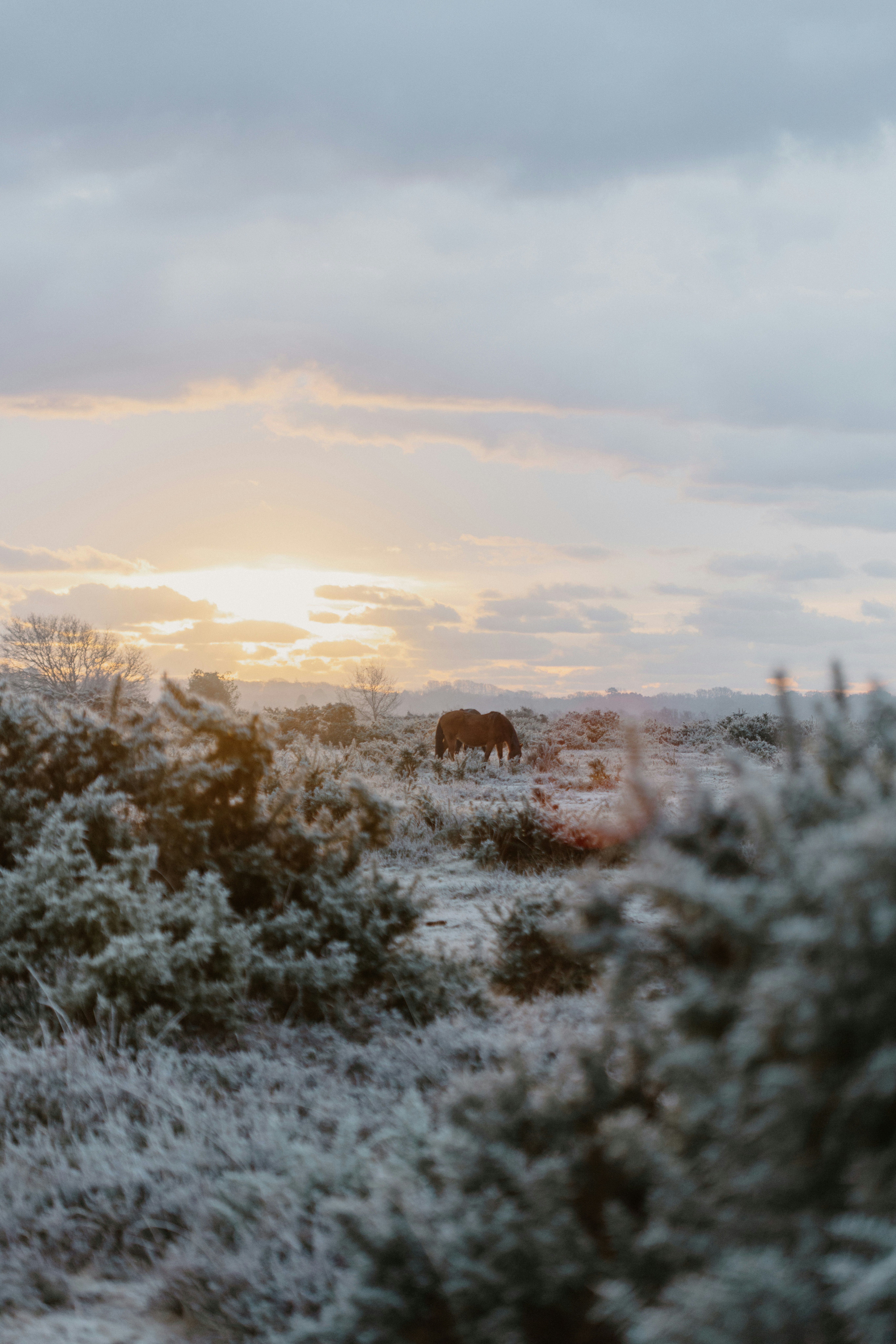 Photo by anniespratt