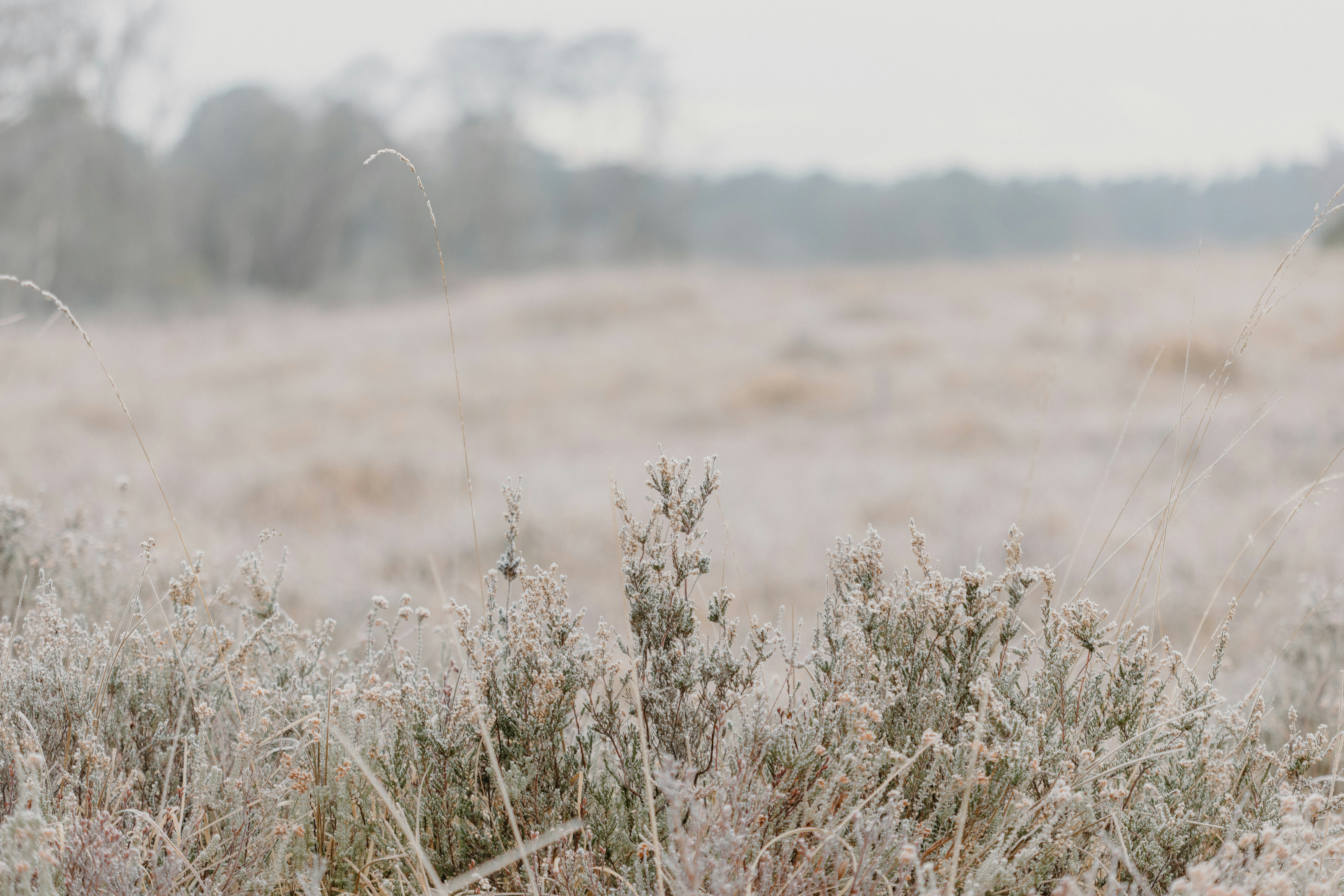 Photo by anniespratt
