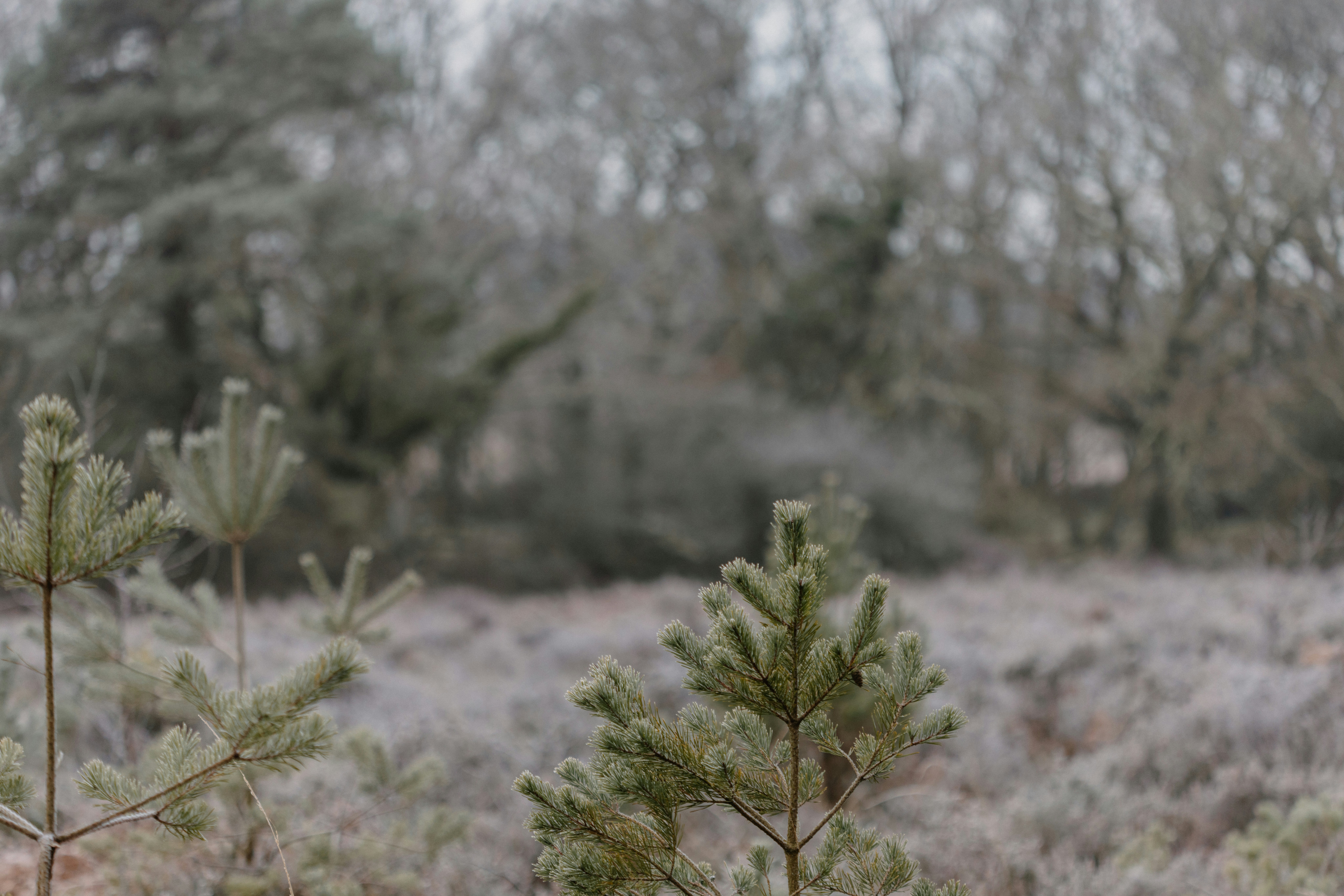 Photo by anniespratt