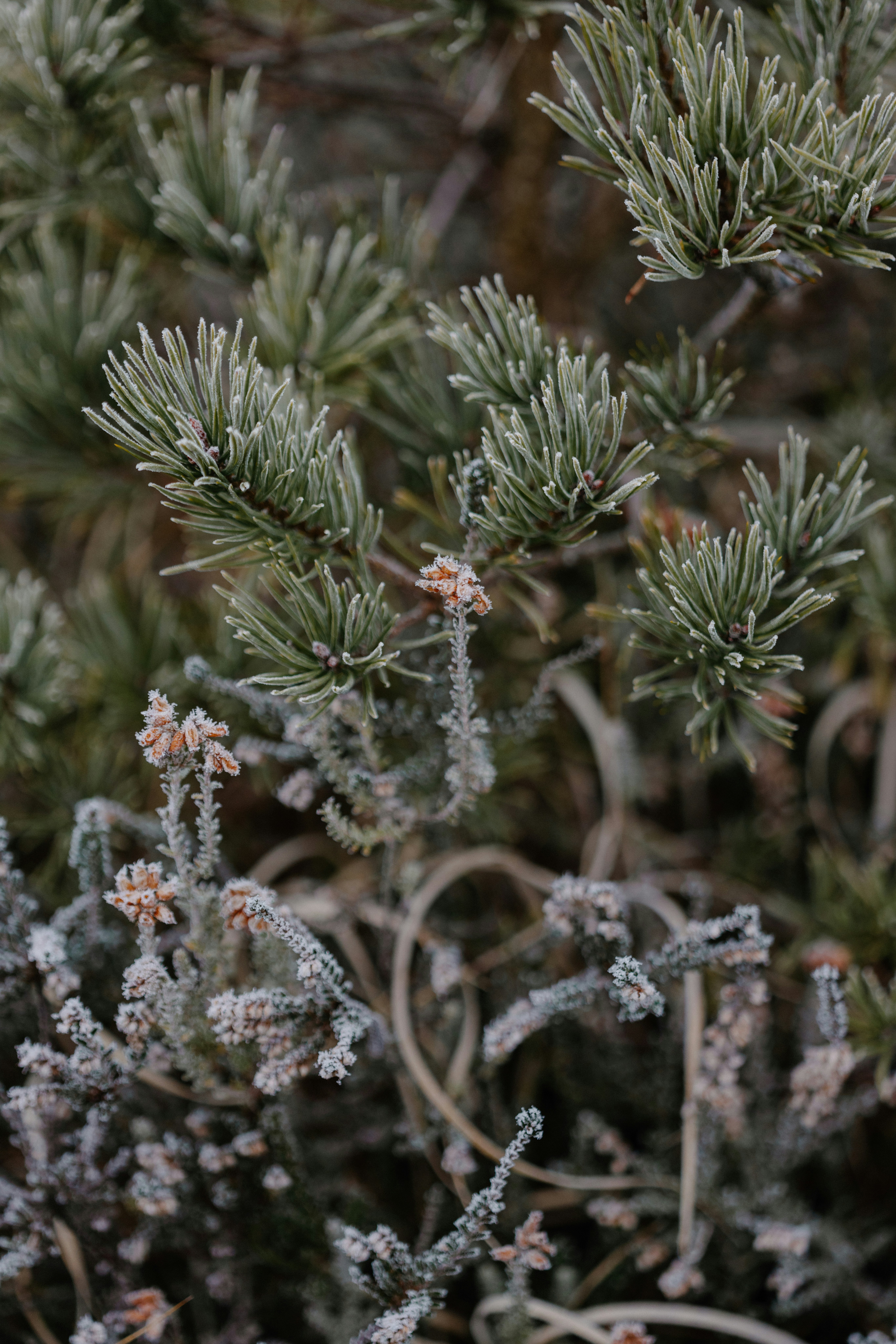 Photo by anniespratt