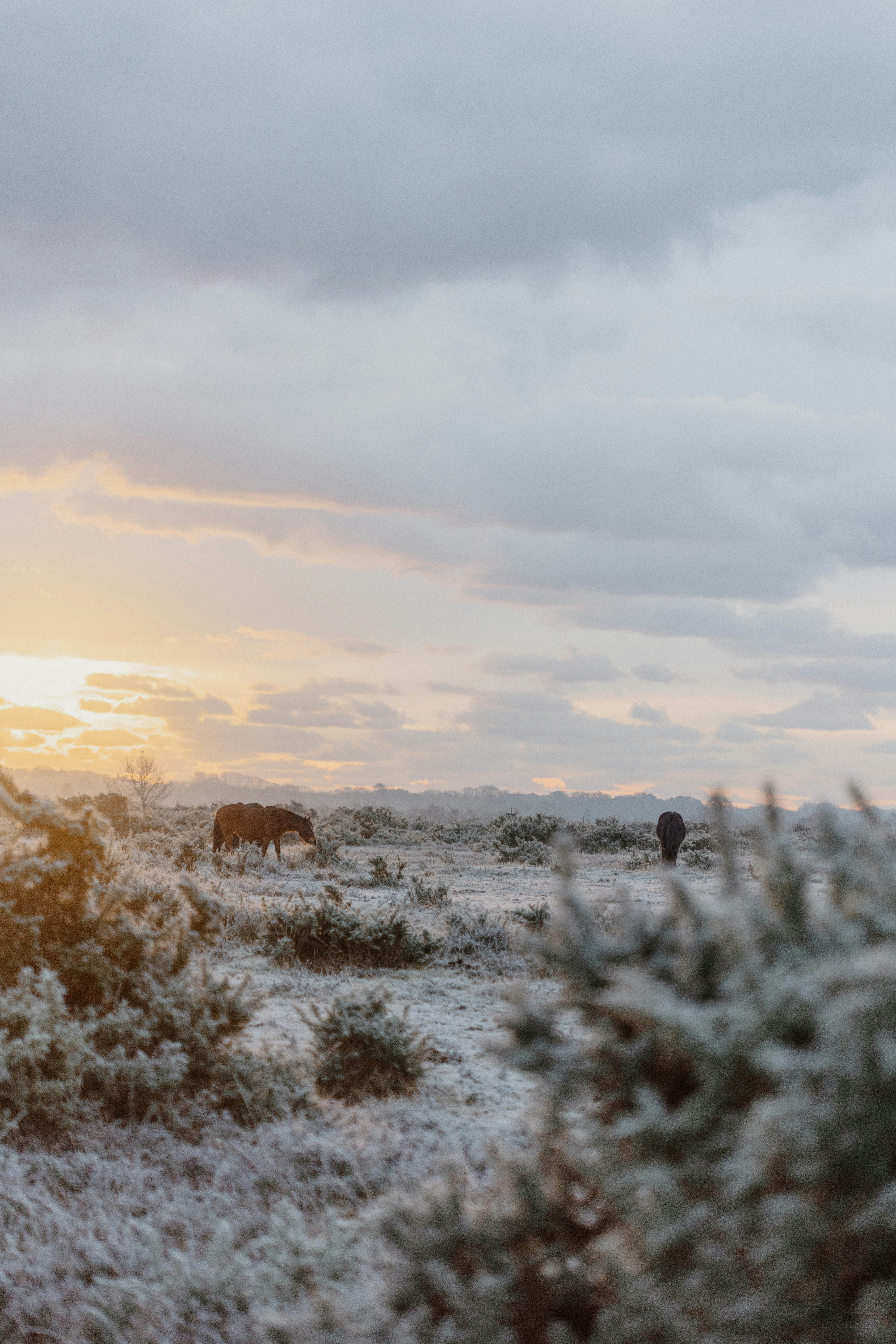 Photo by anniespratt