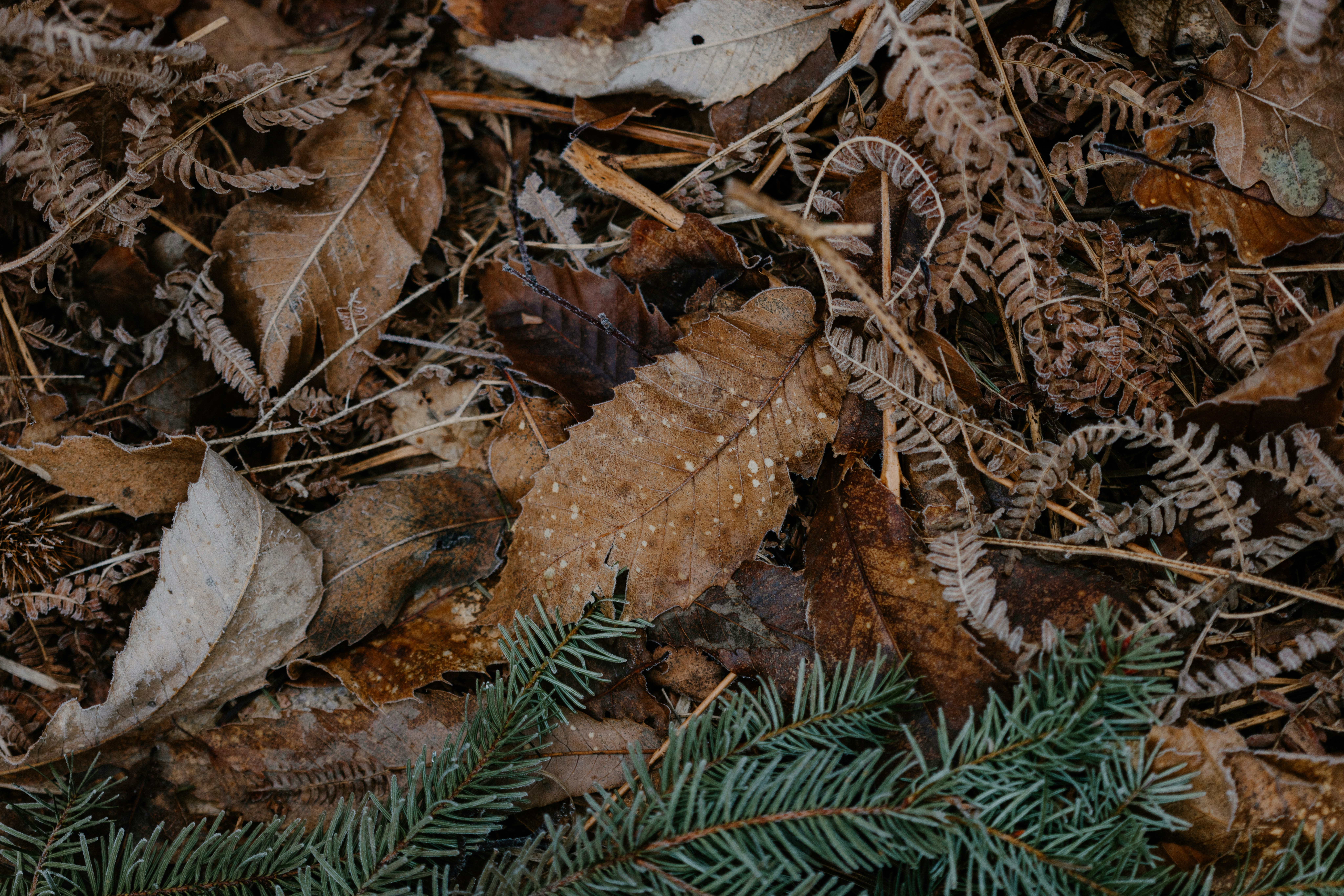 Photo by anniespratt