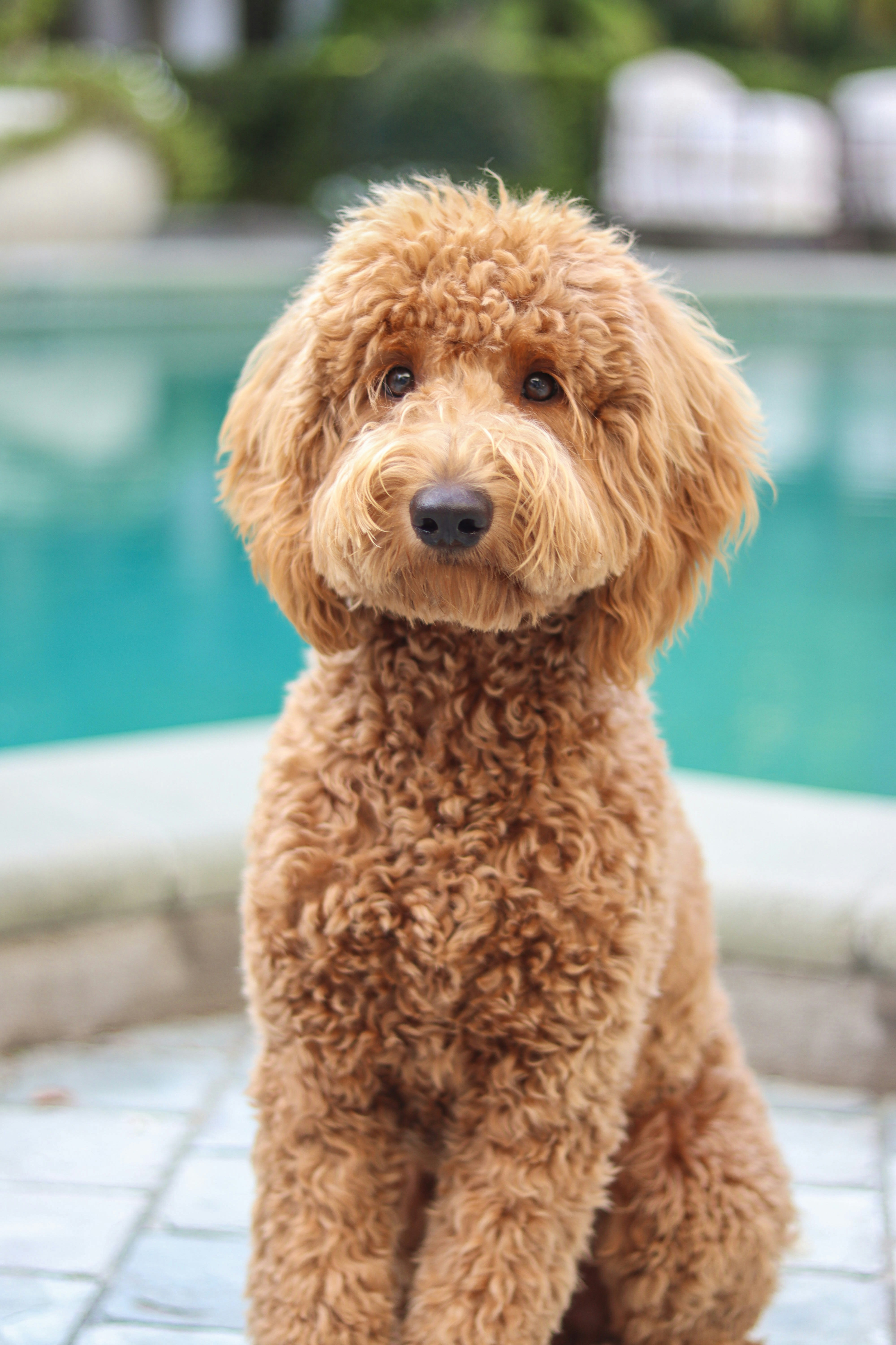 Photo by miaandersonphotography