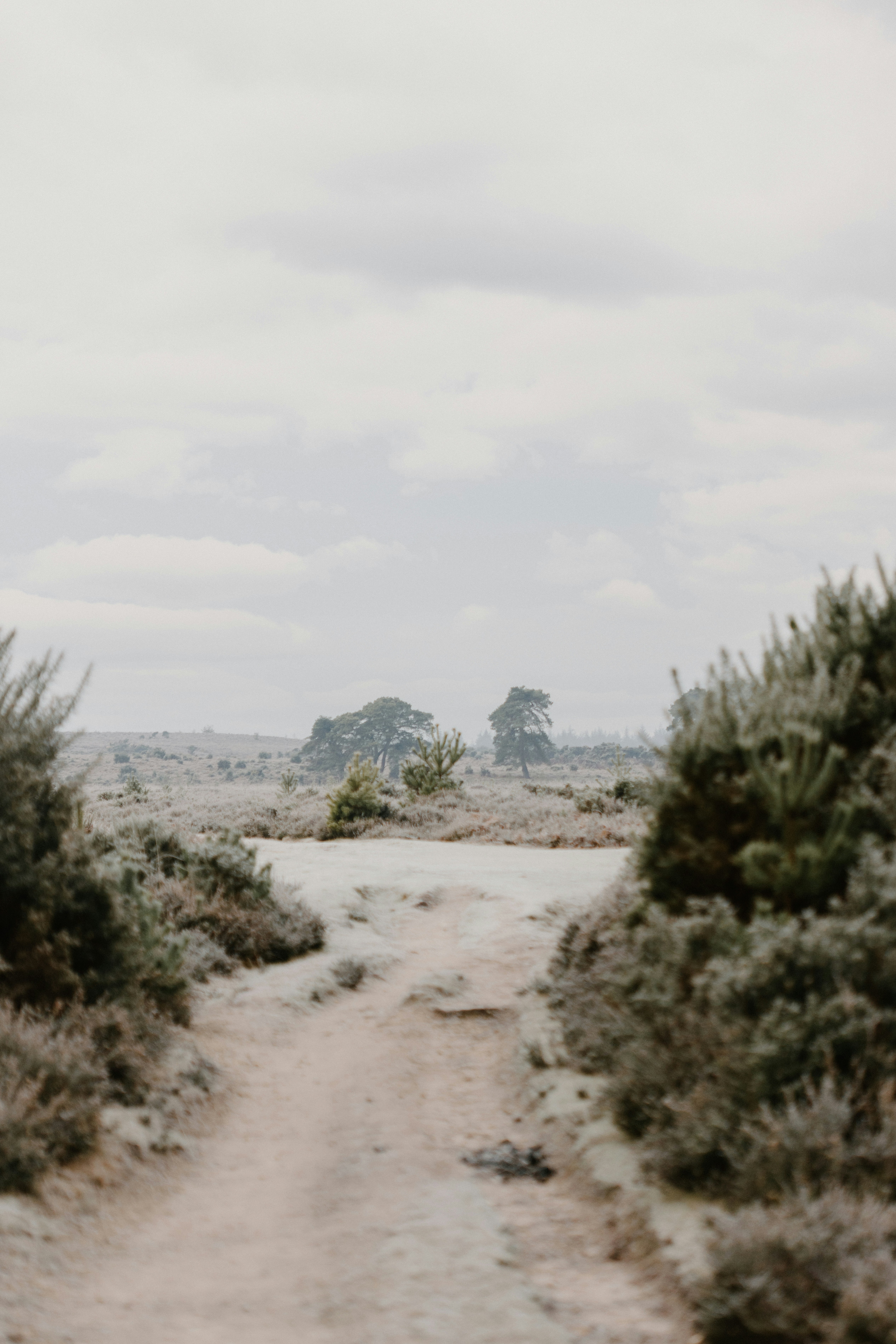 Photo by anniespratt