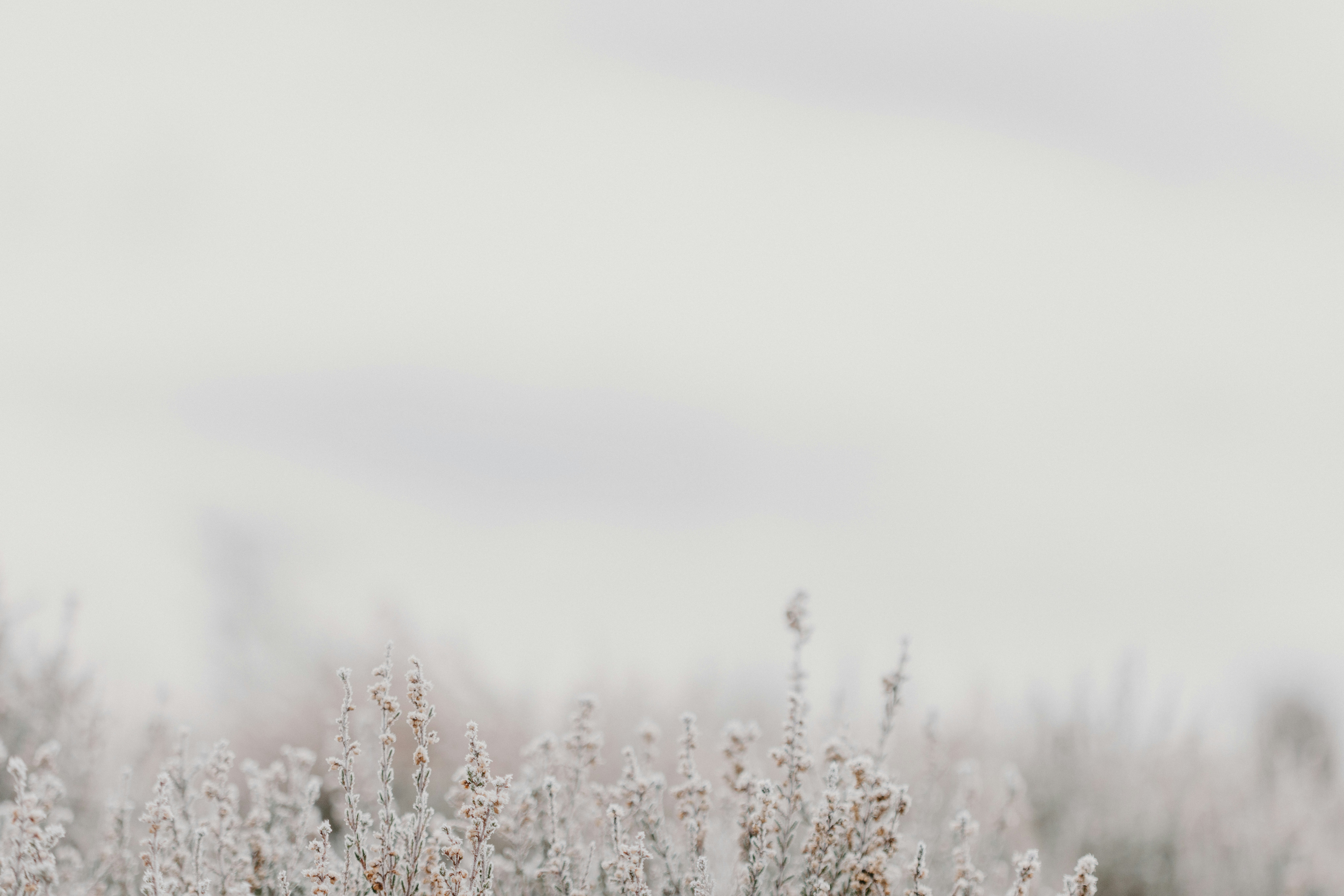 Photo by anniespratt