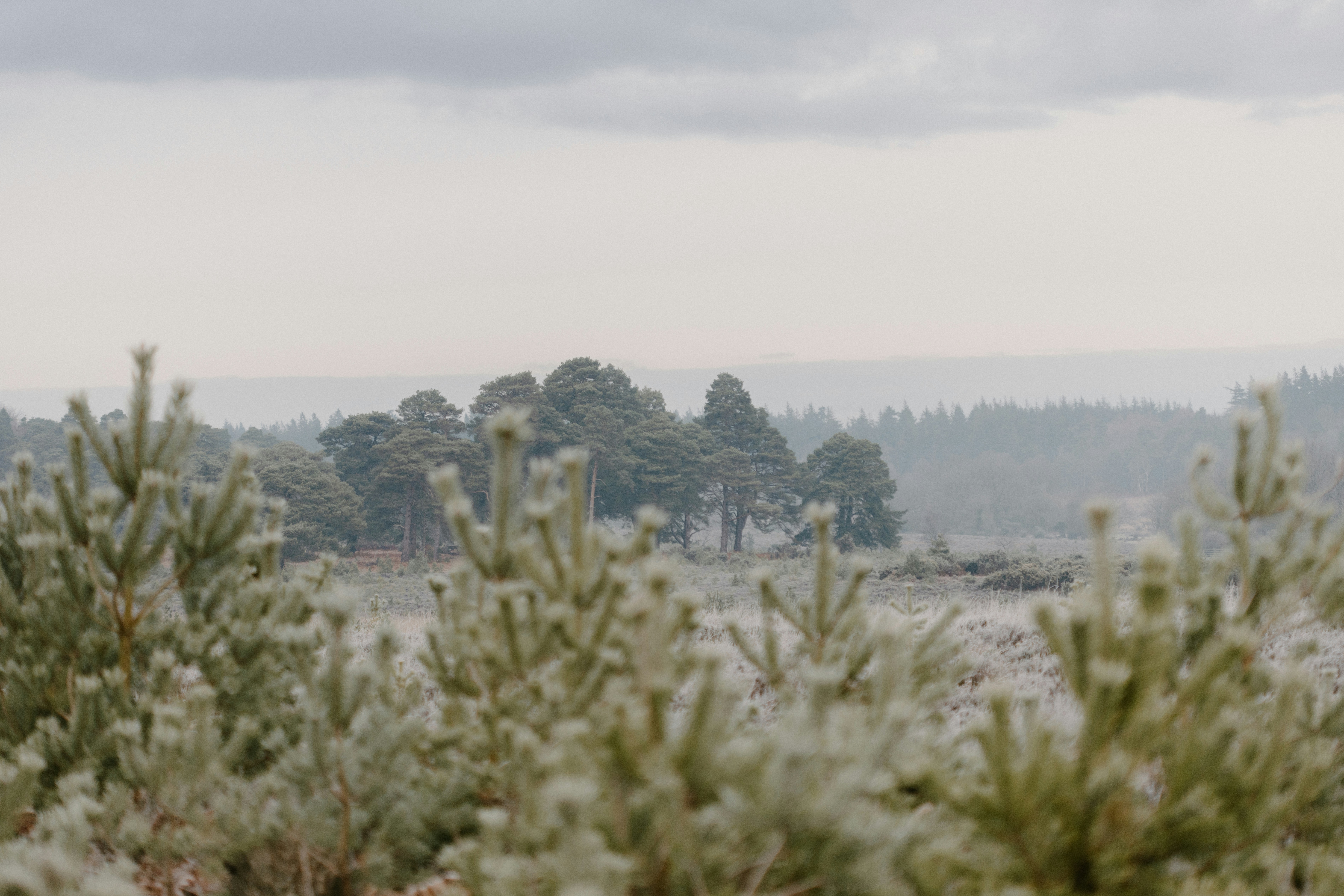 Photo by anniespratt