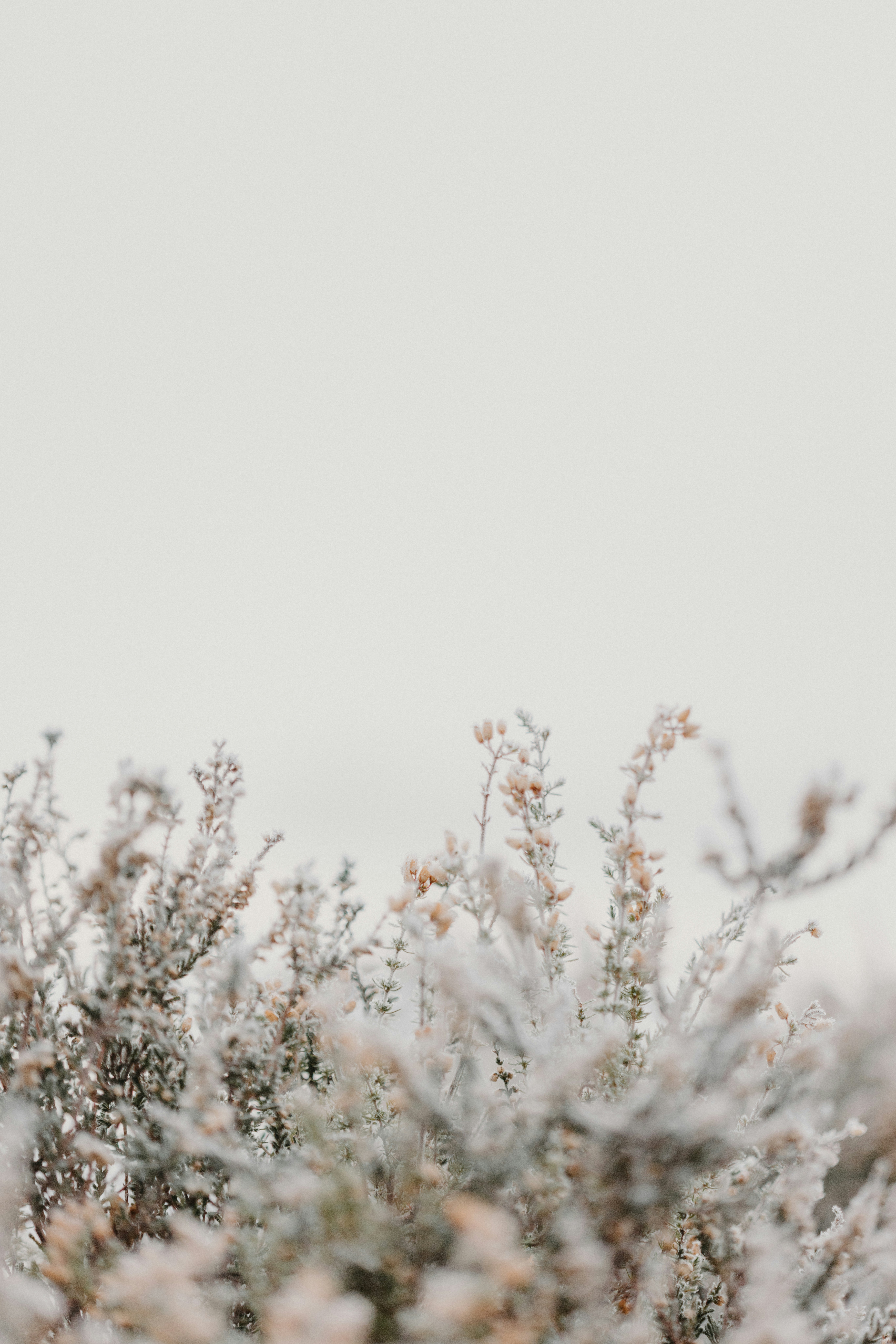 Photo by anniespratt