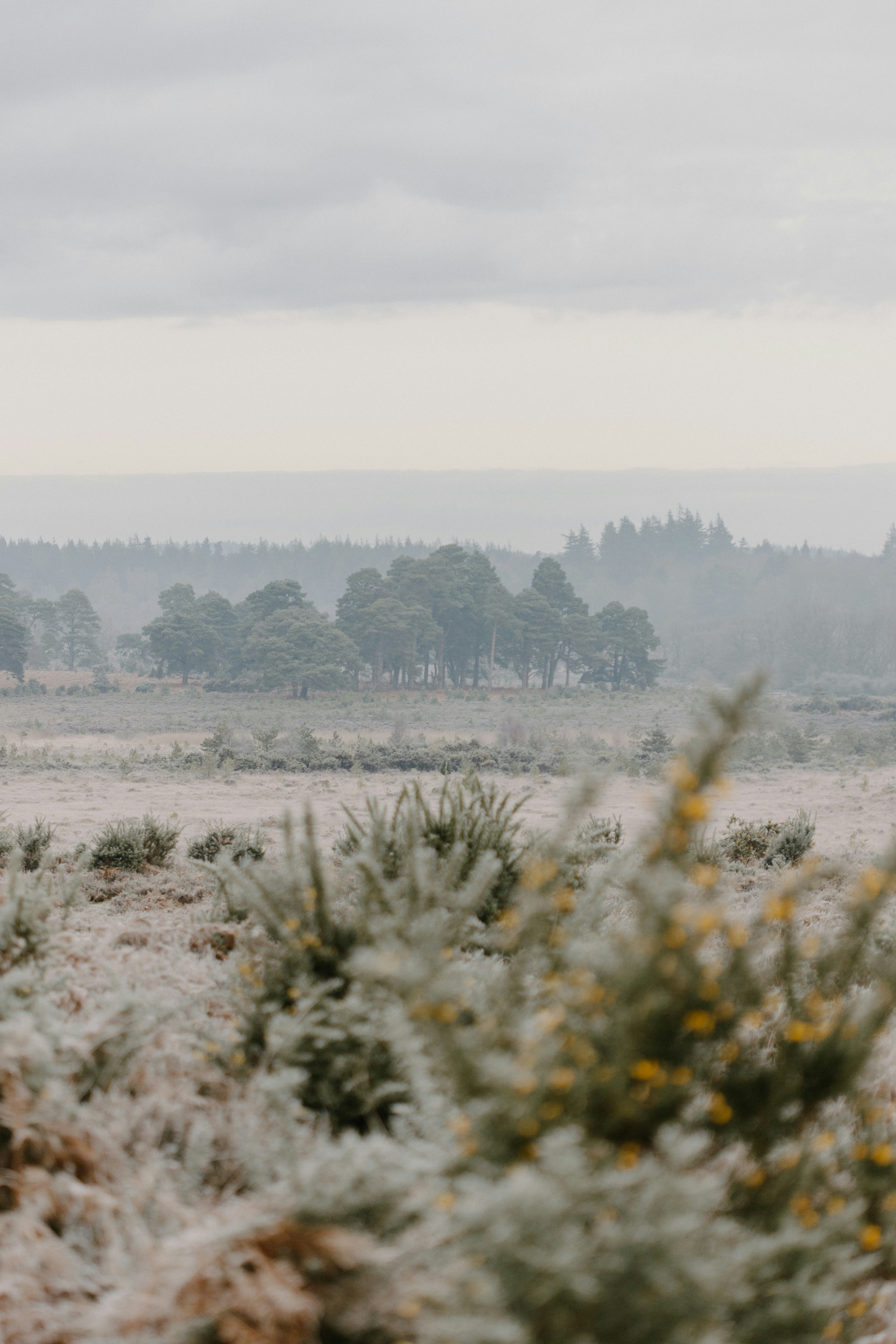 Photo by anniespratt
