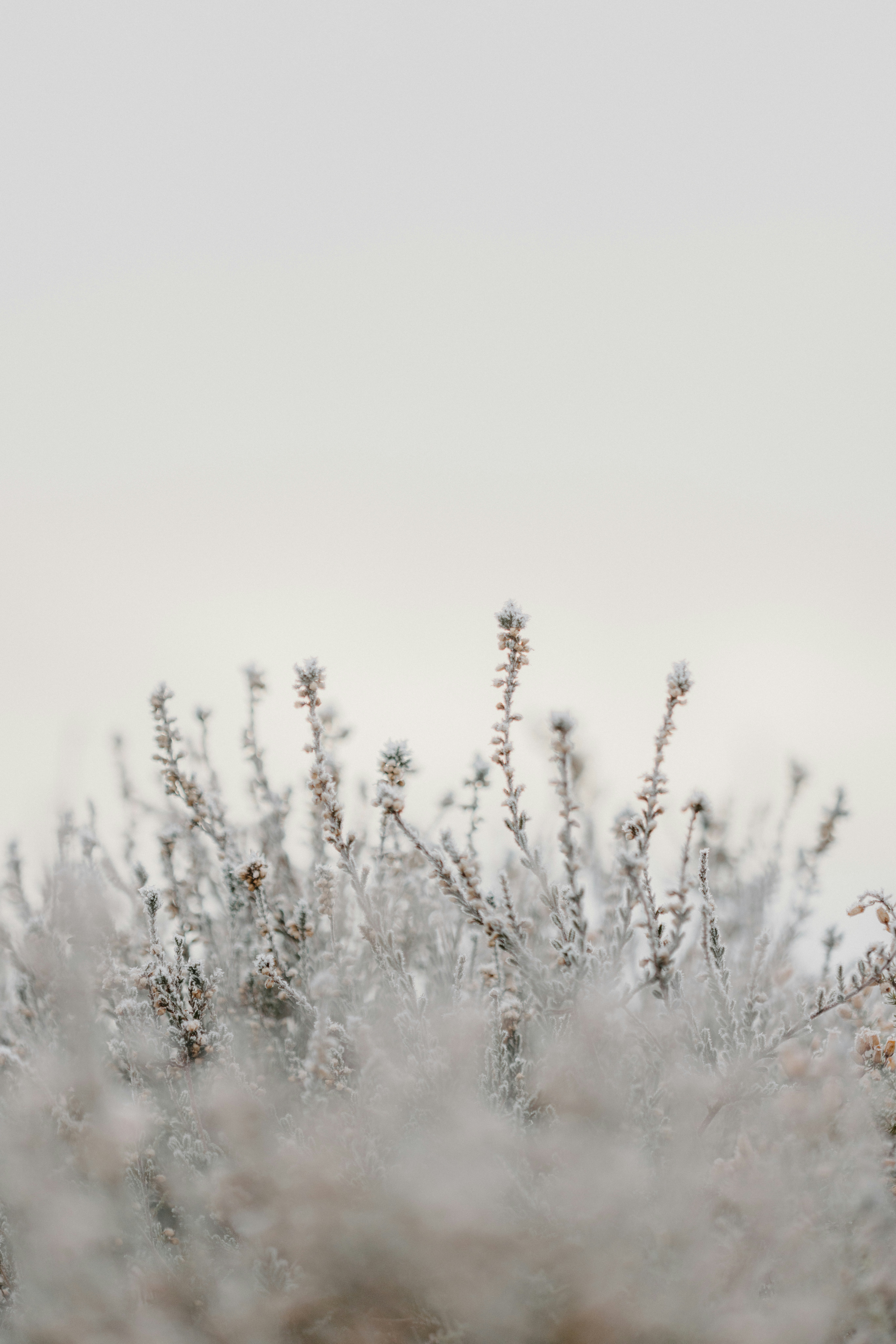 Photo by anniespratt