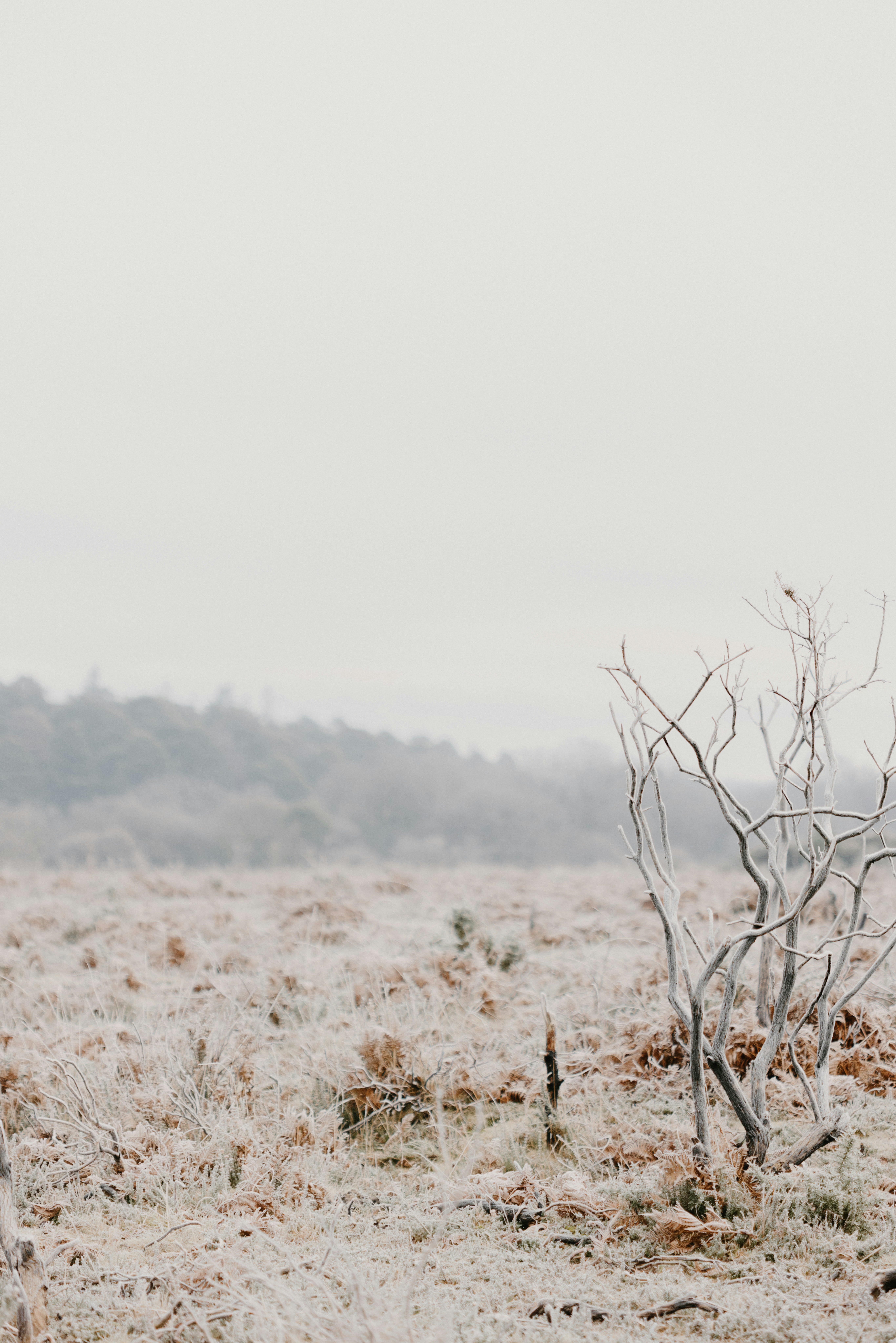 Photo by anniespratt