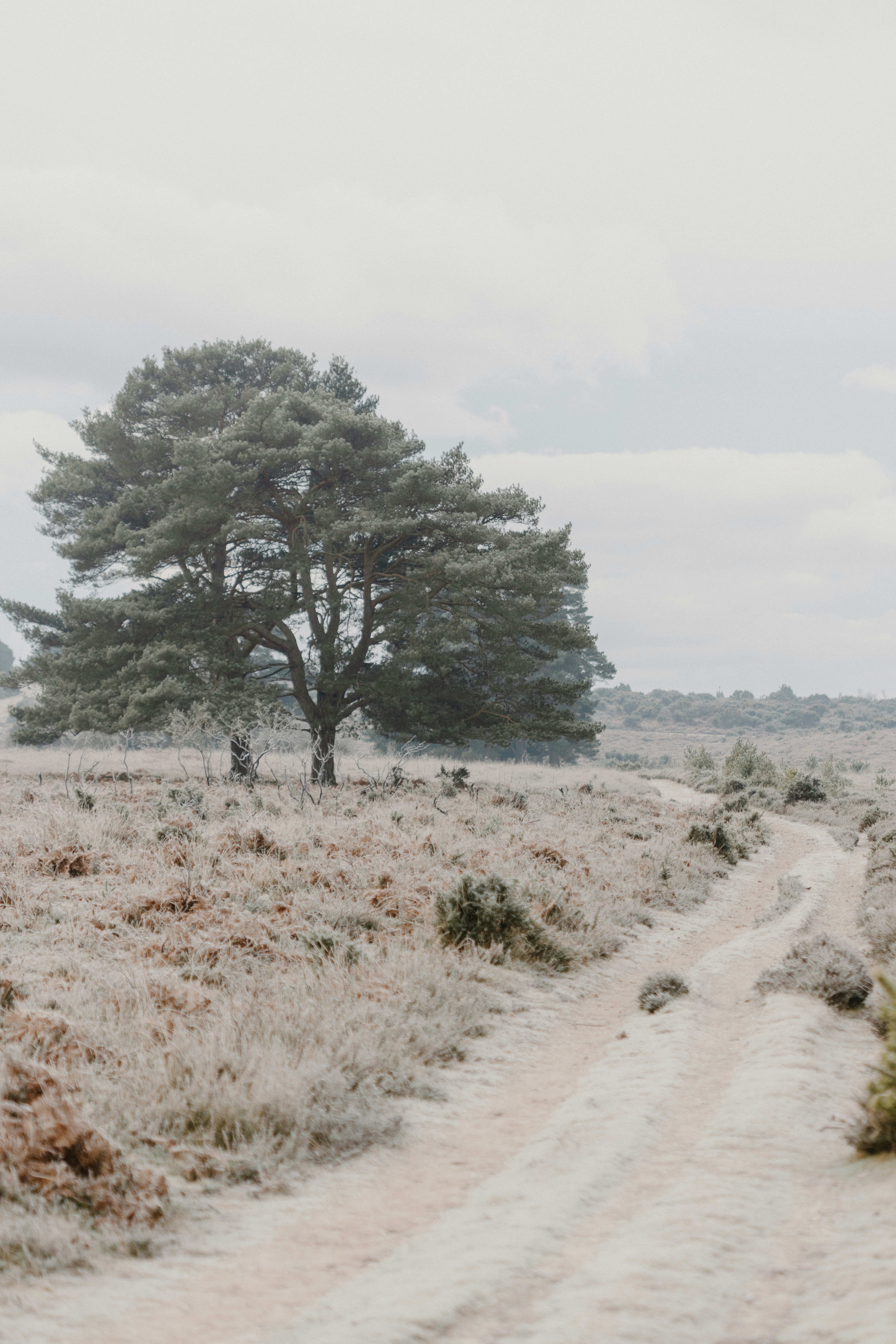 Photo by anniespratt