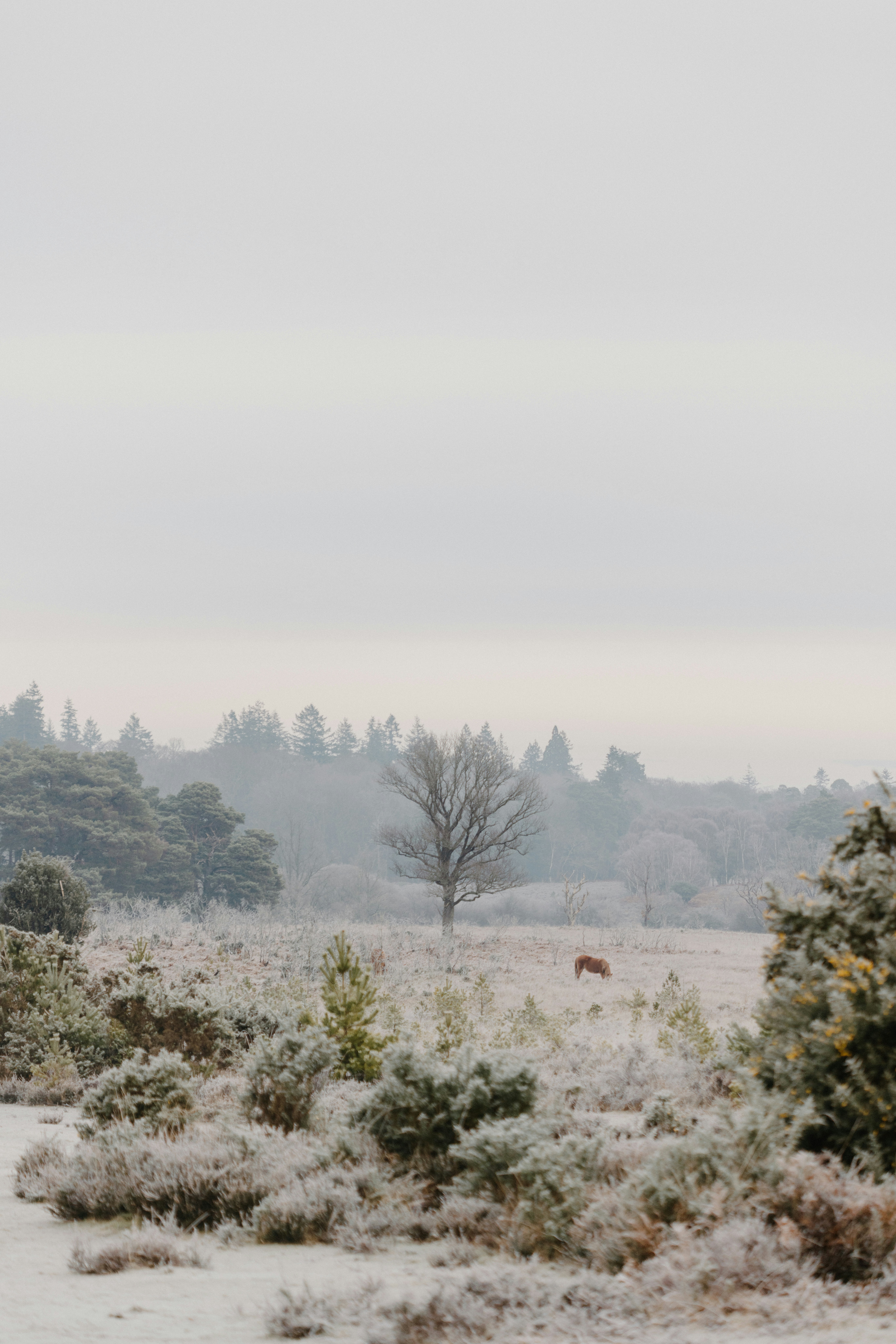 Photo by anniespratt