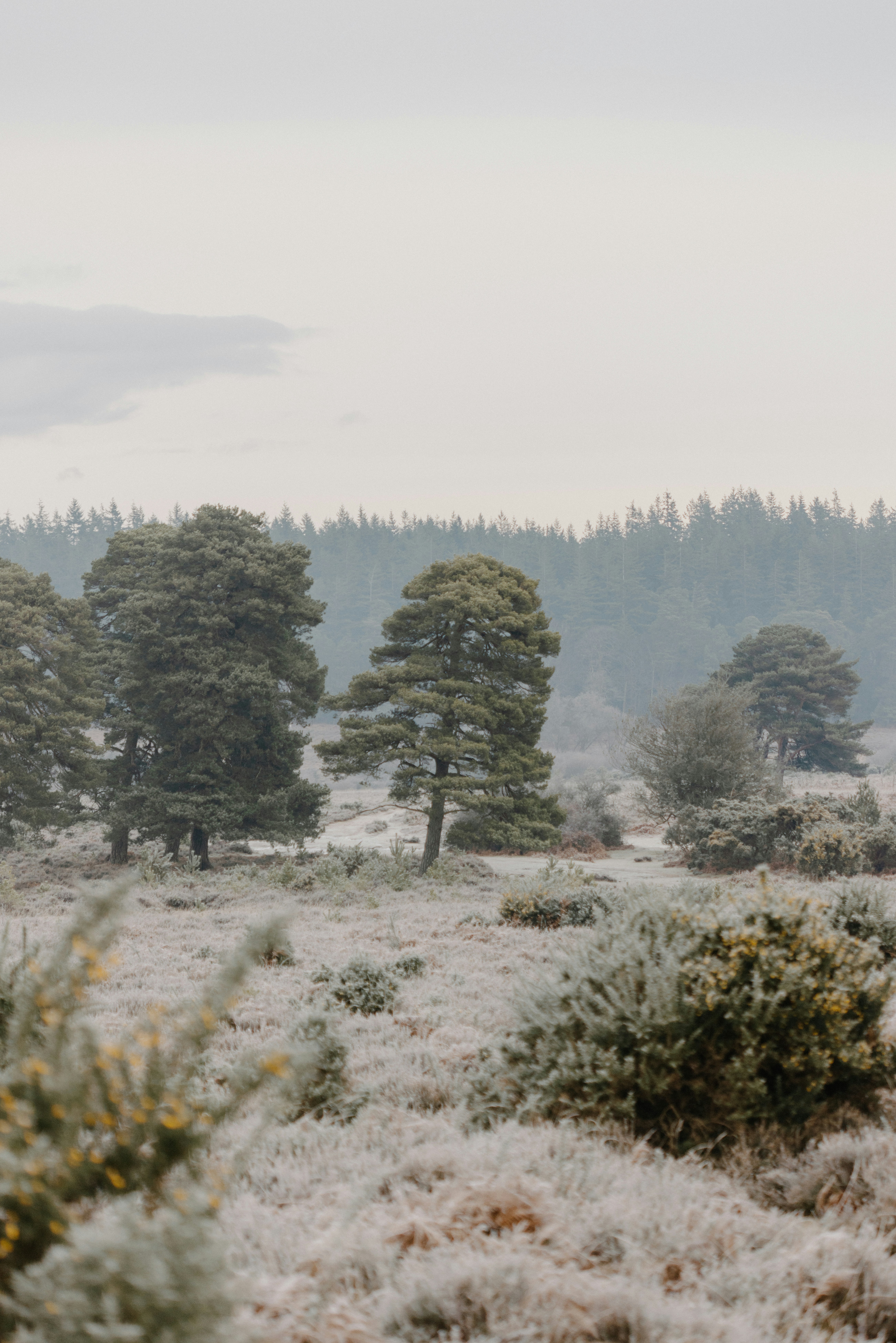 Photo by anniespratt