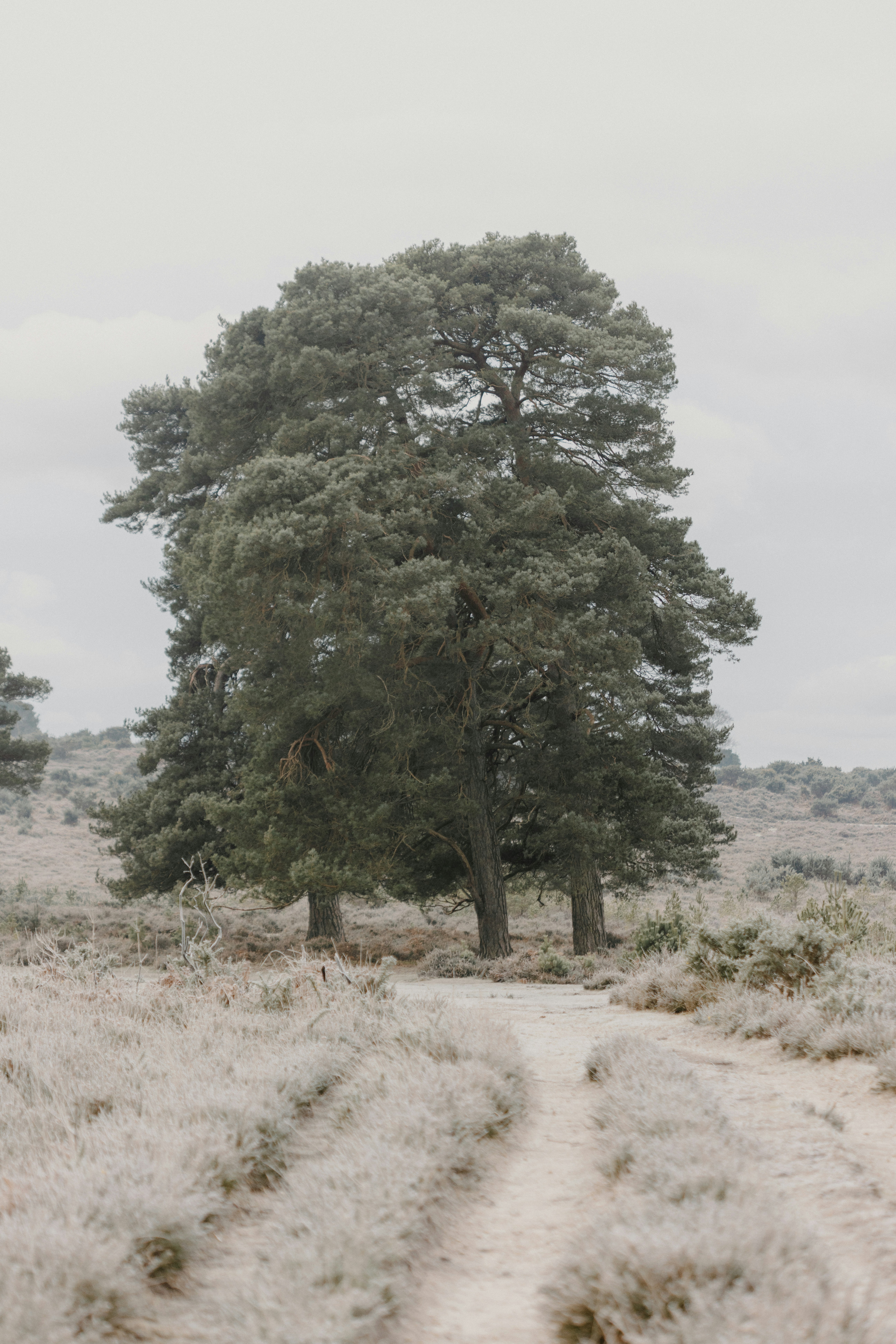 Photo by anniespratt