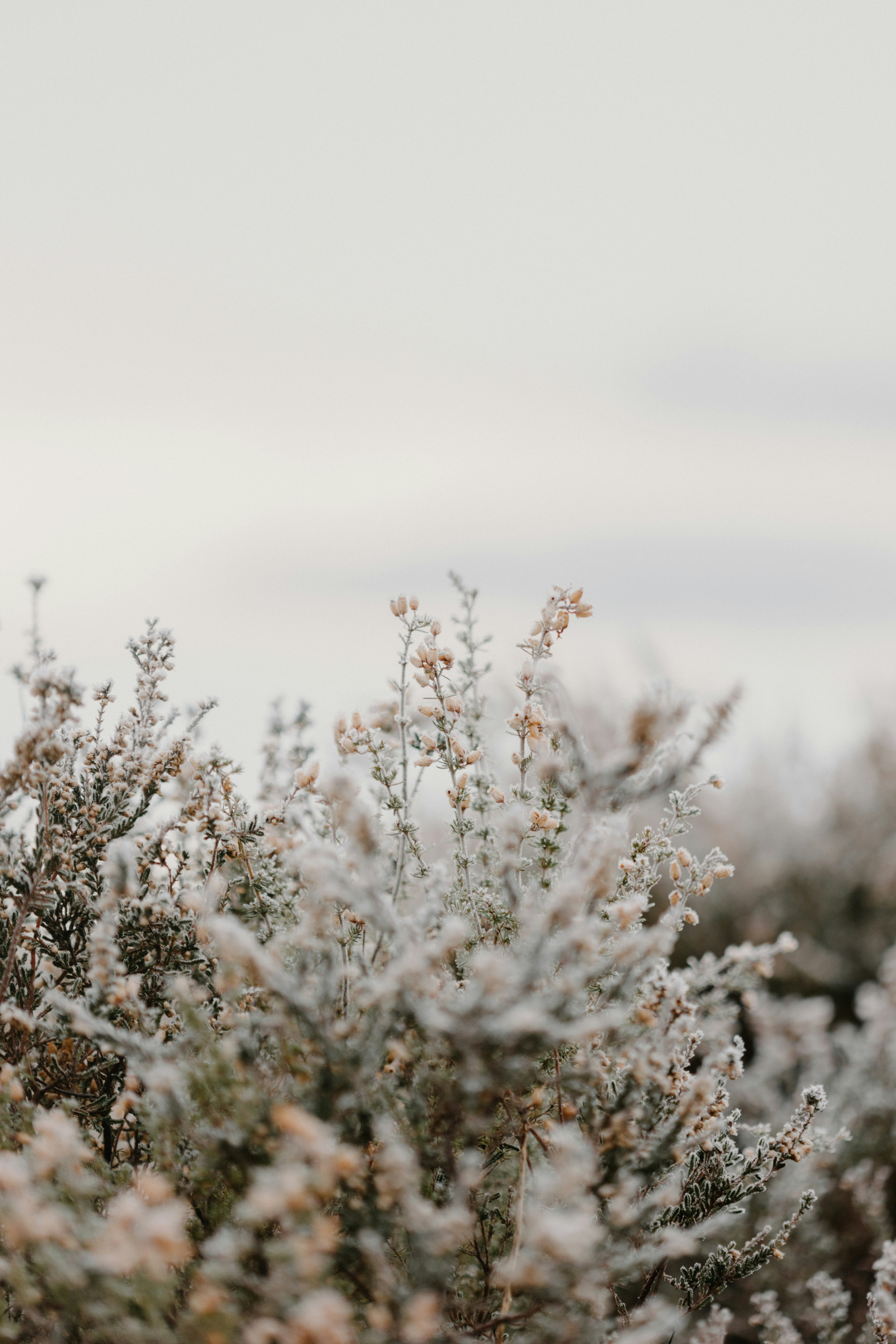 Photo by anniespratt