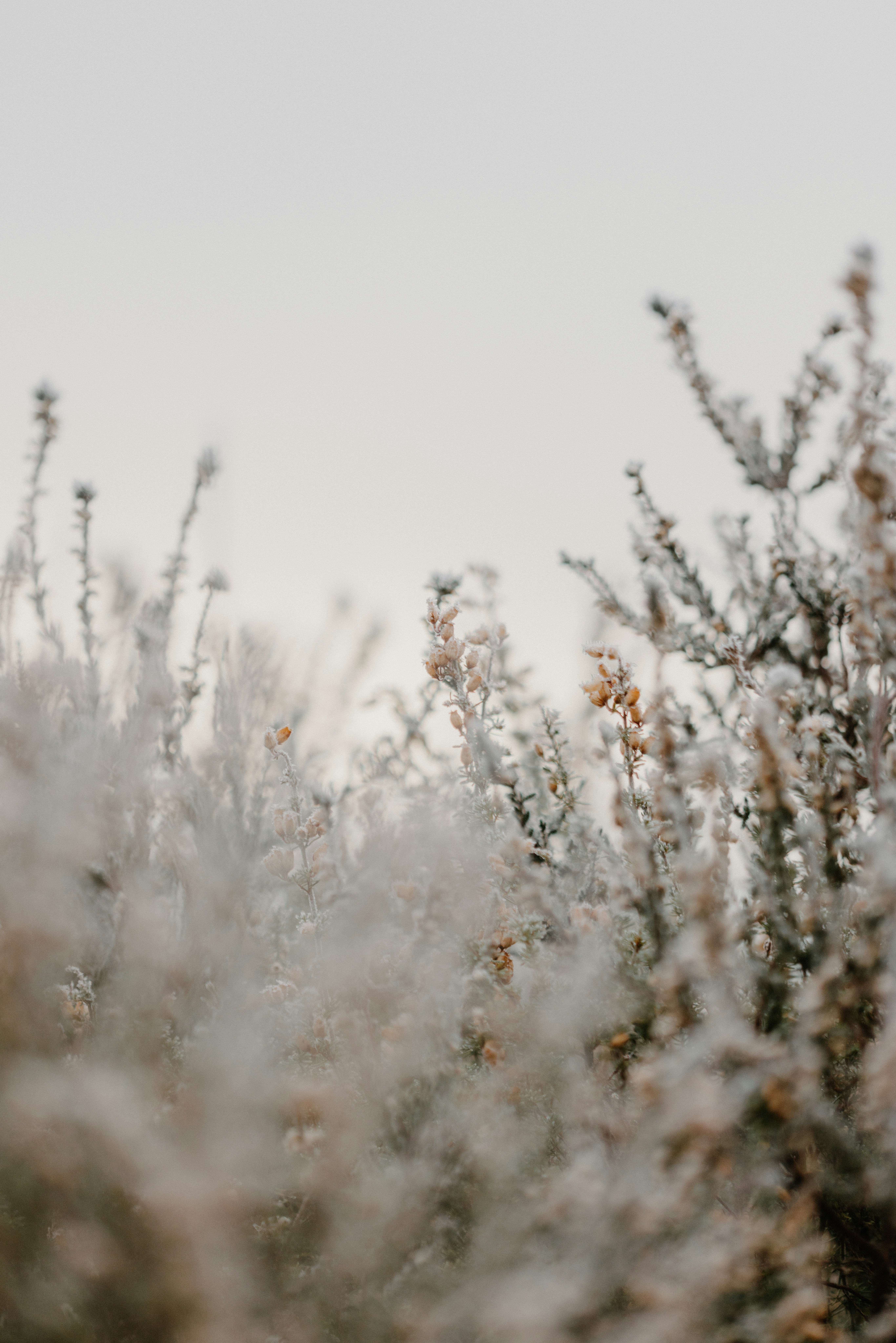 Photo by anniespratt