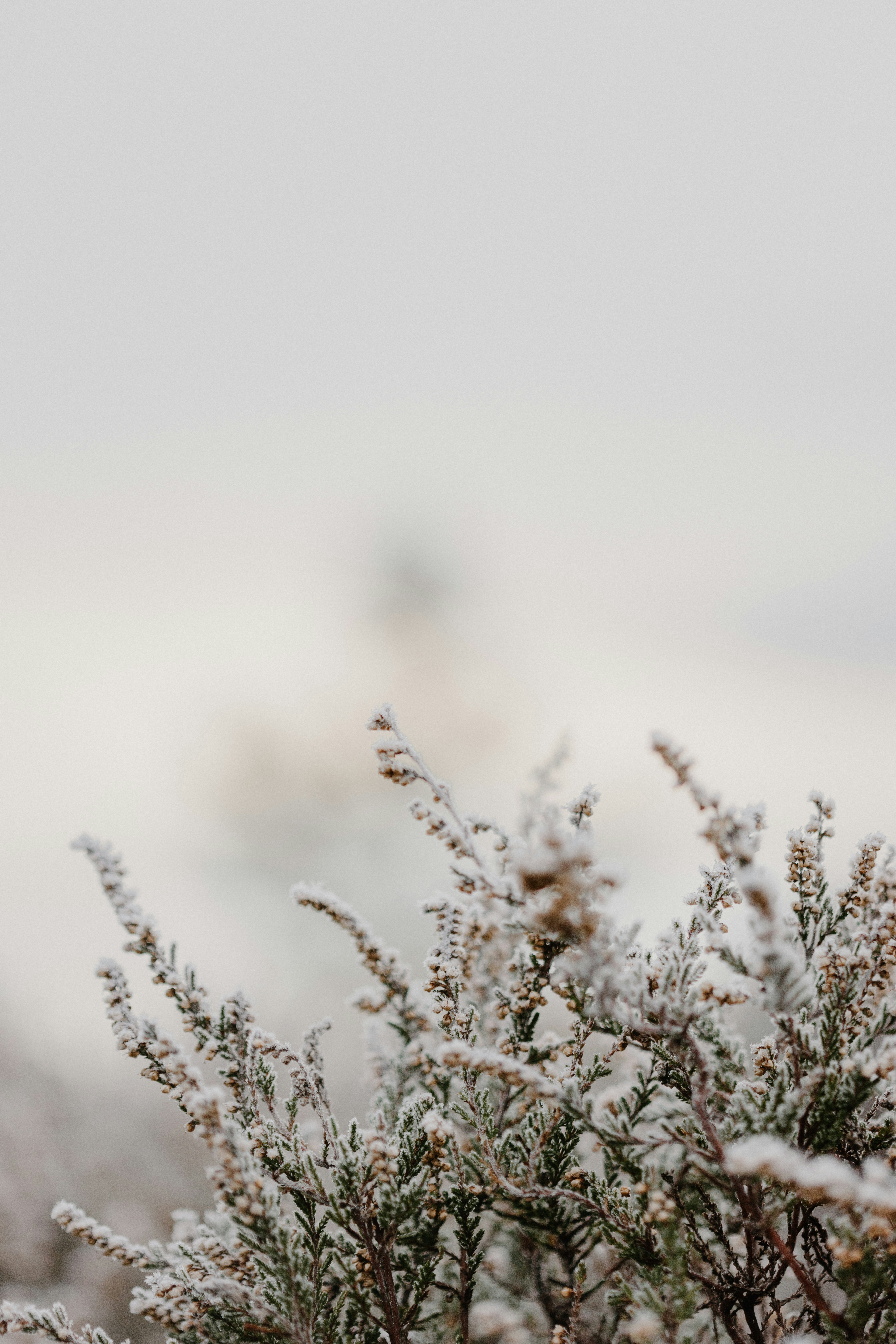 Photo by anniespratt