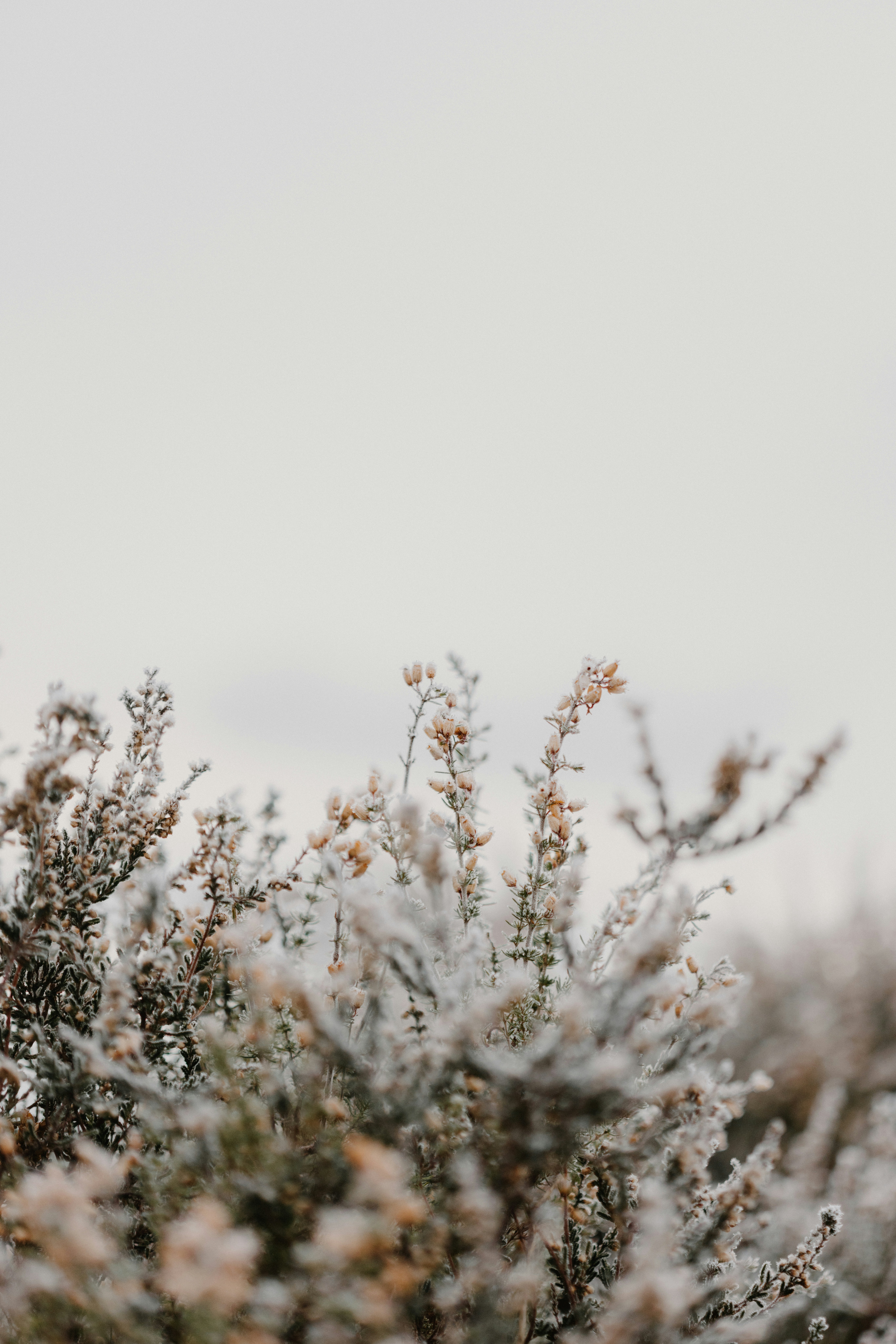 Photo by anniespratt