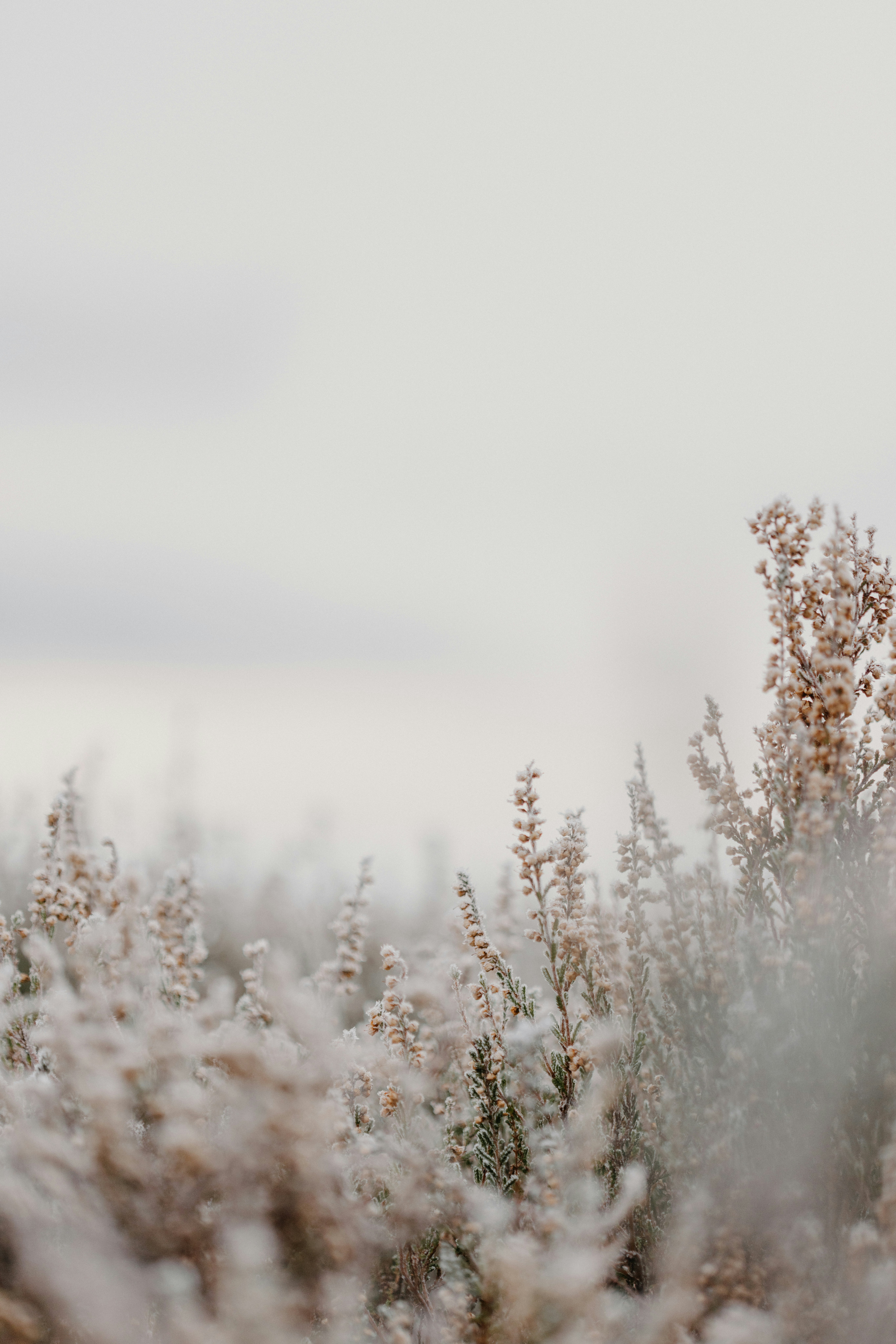 Photo by anniespratt