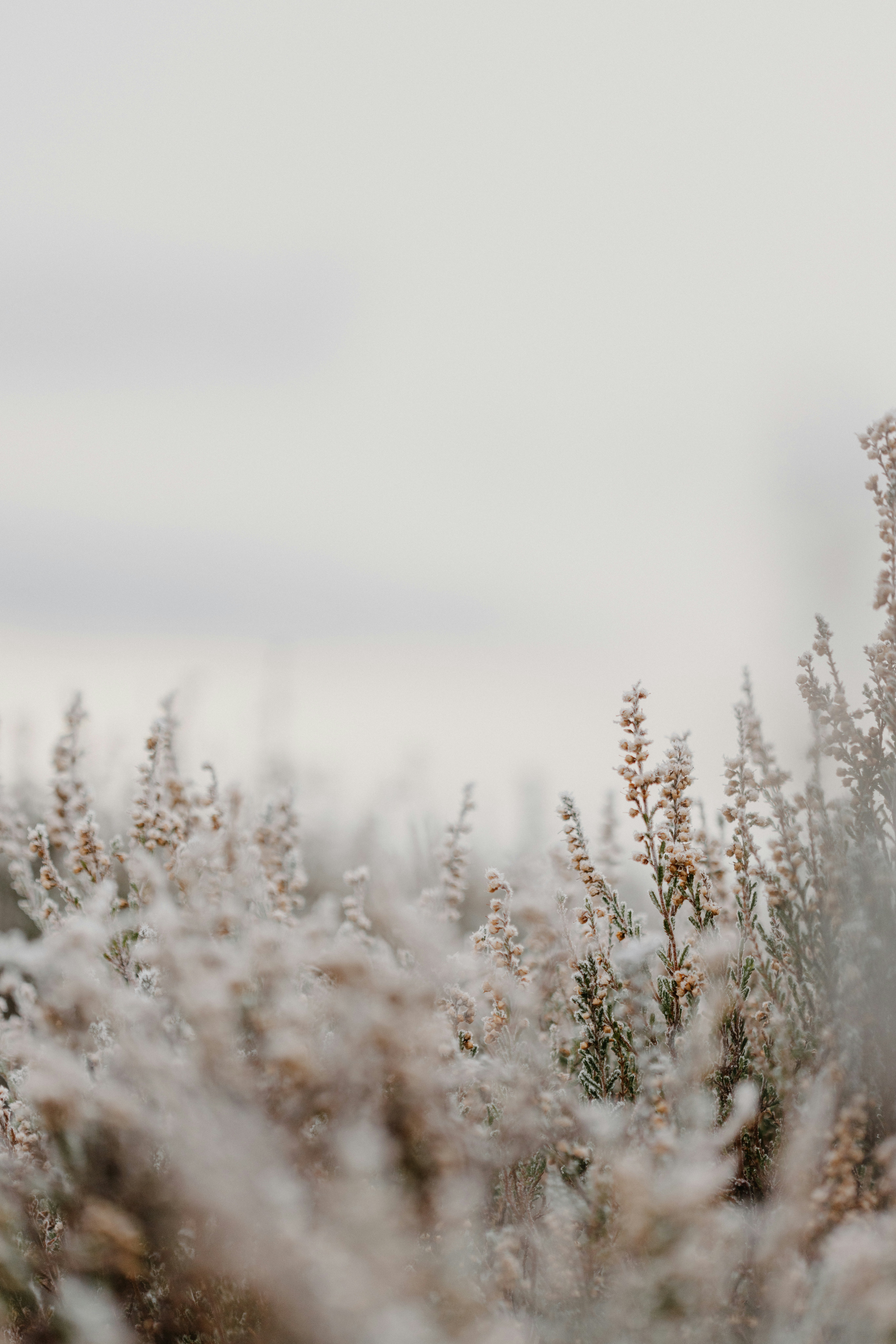 Photo by anniespratt