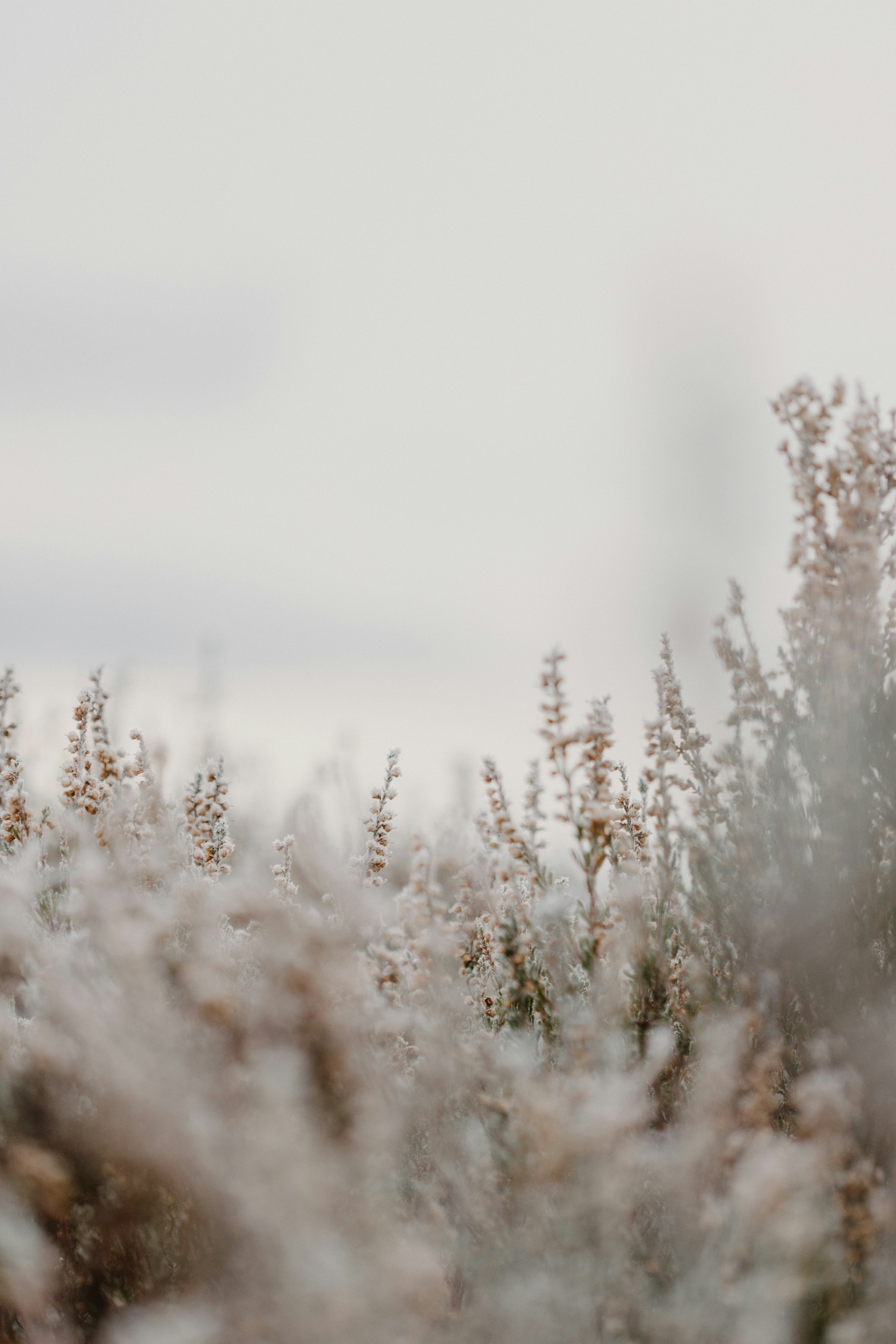 Photo by anniespratt