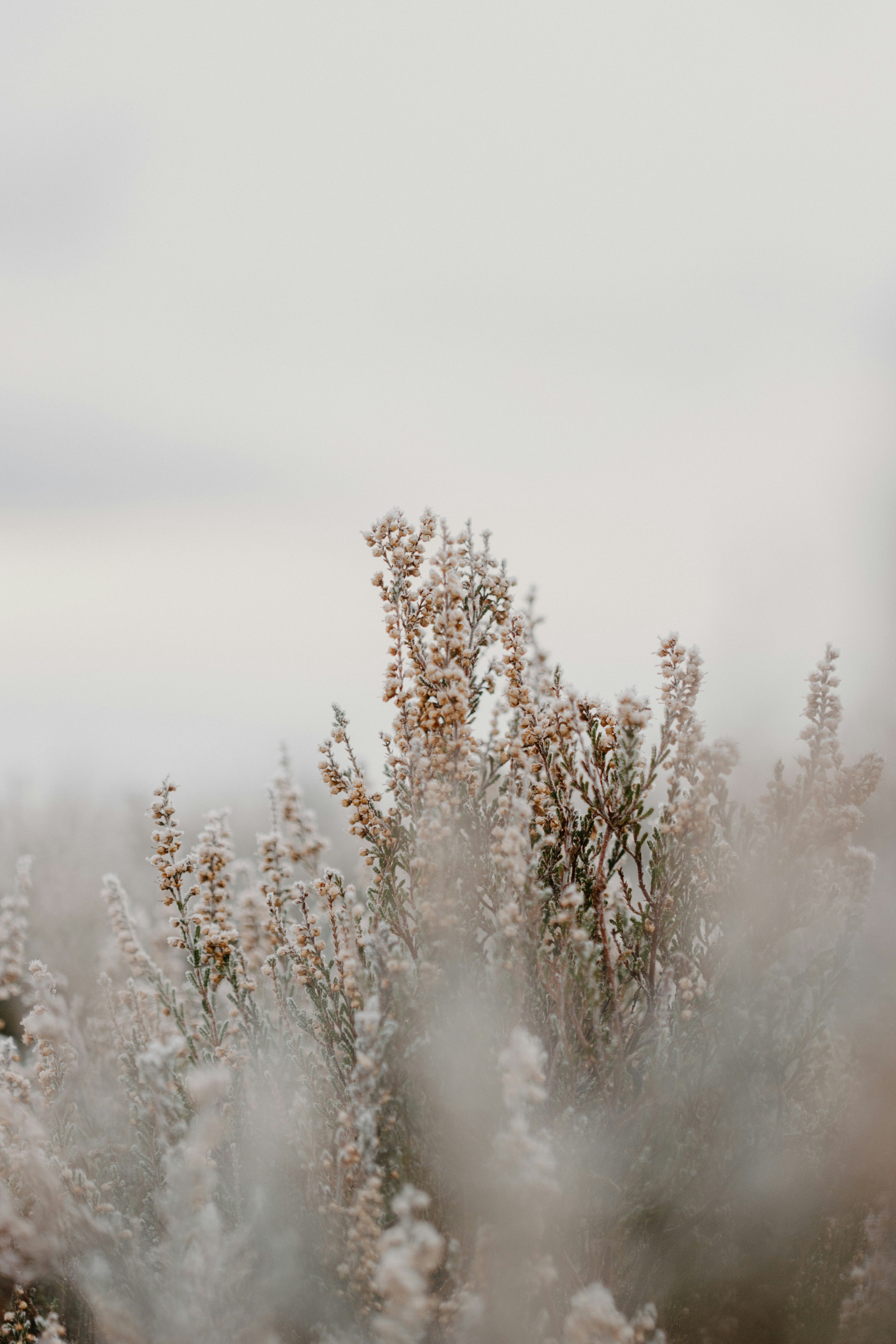 Photo by anniespratt