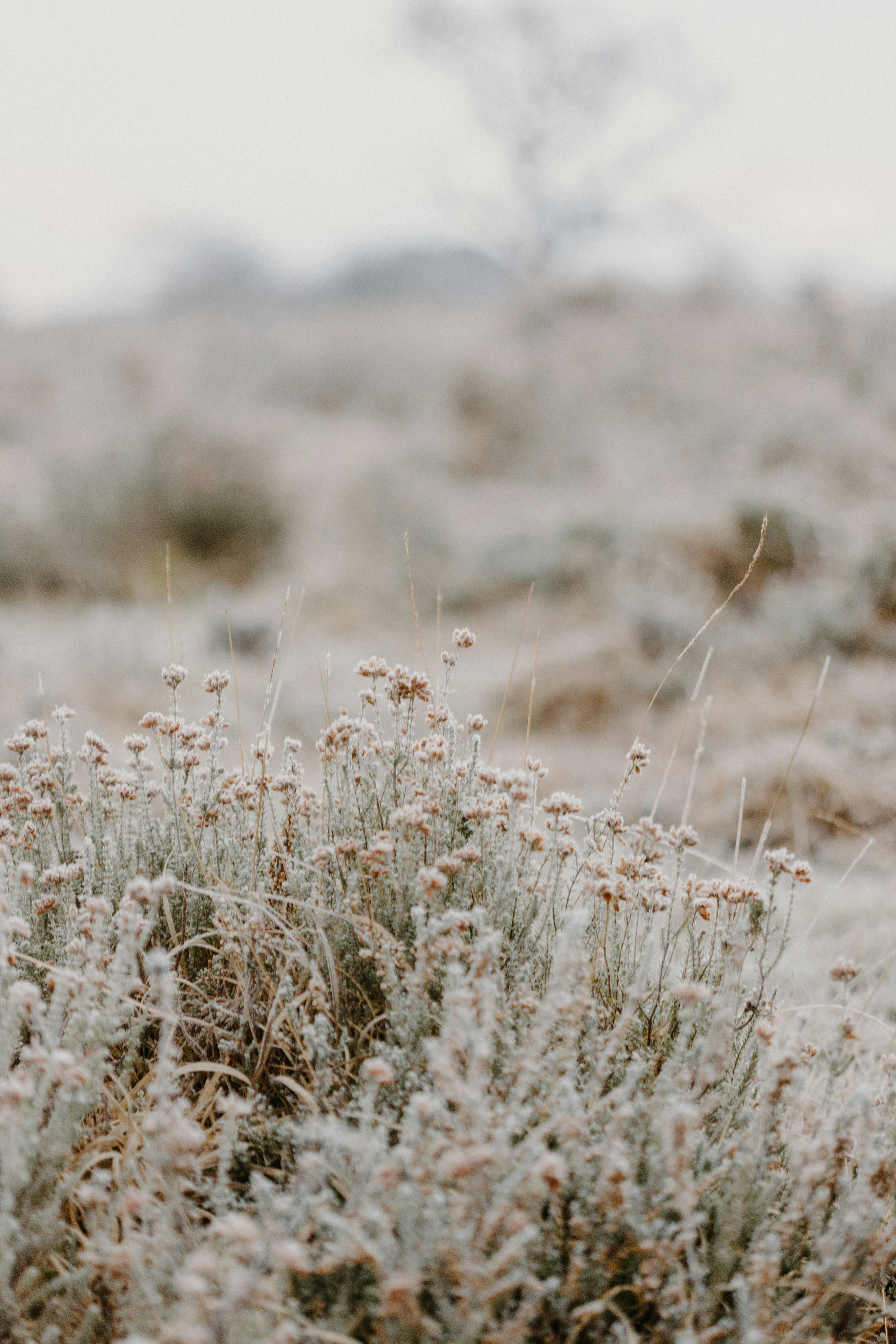 Photo by anniespratt