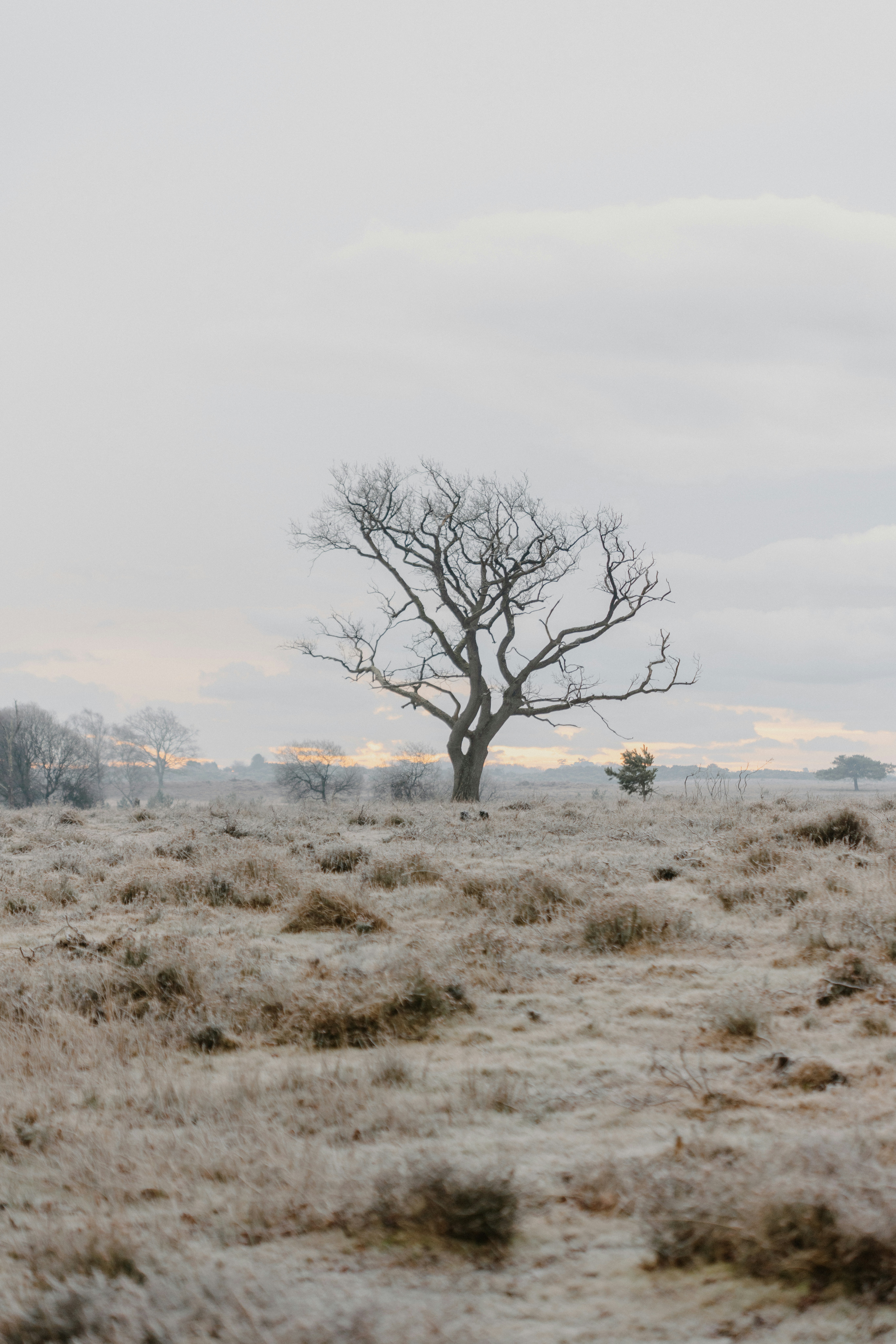 Photo by anniespratt