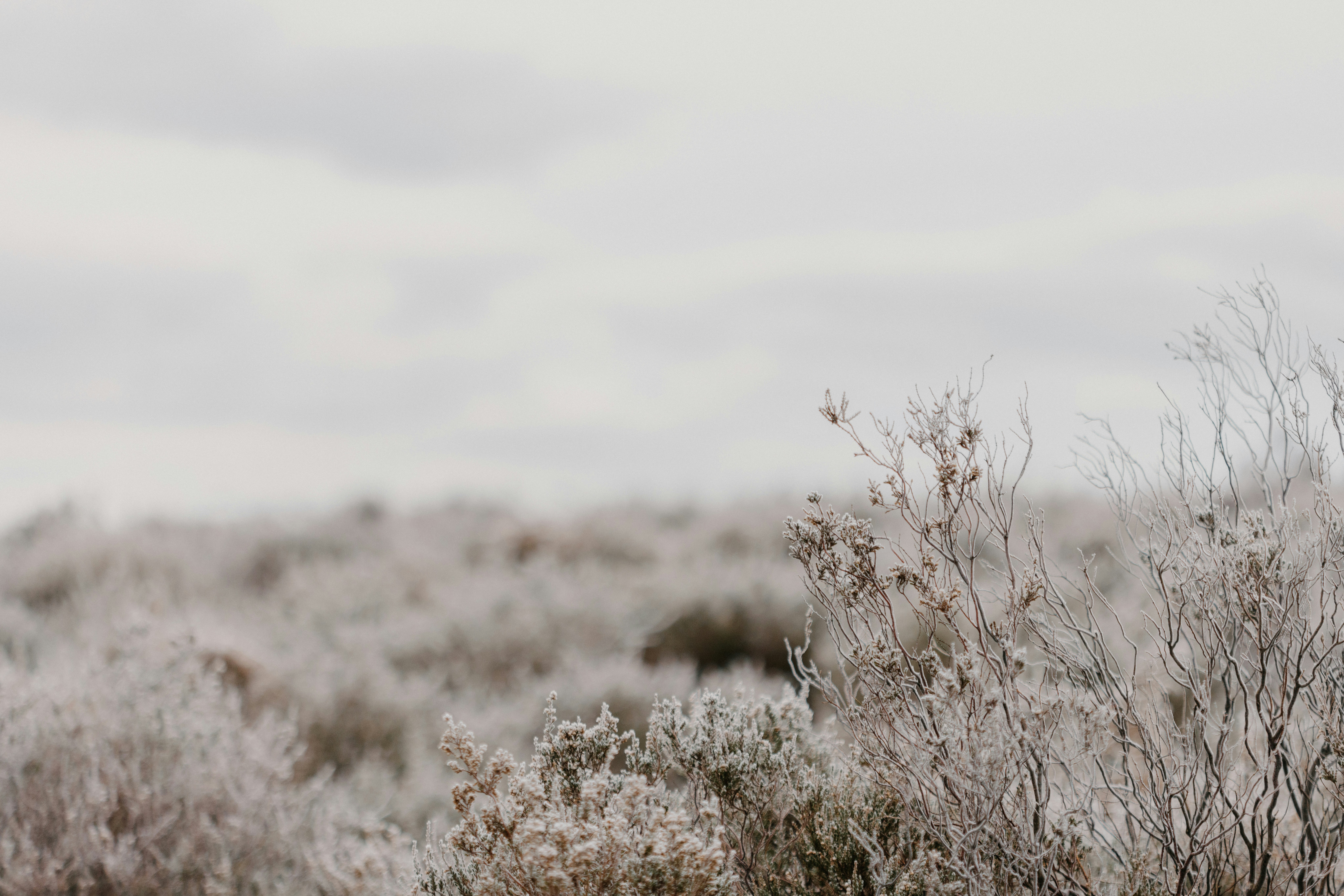 Photo by anniespratt