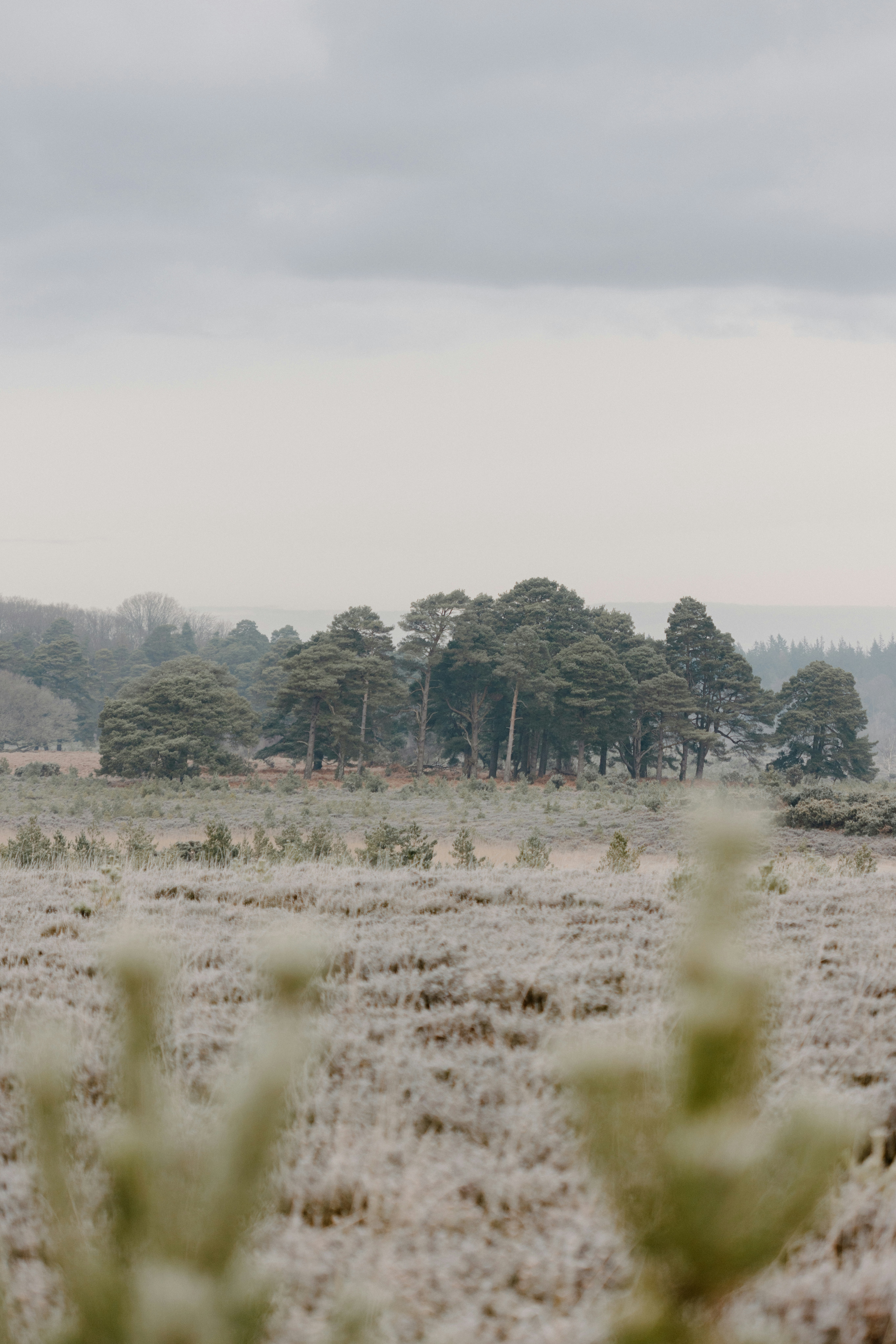 Photo by anniespratt