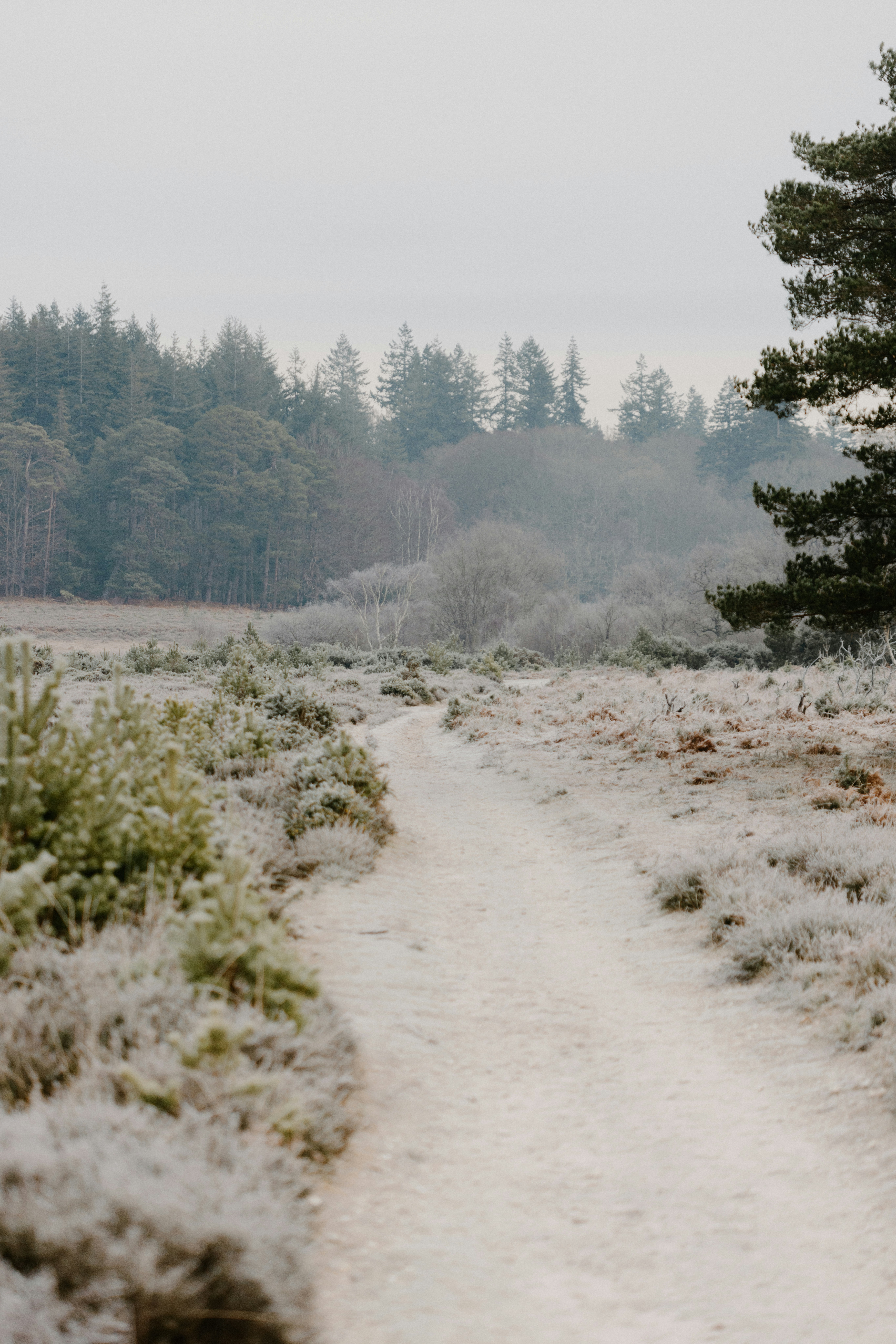 Photo by anniespratt