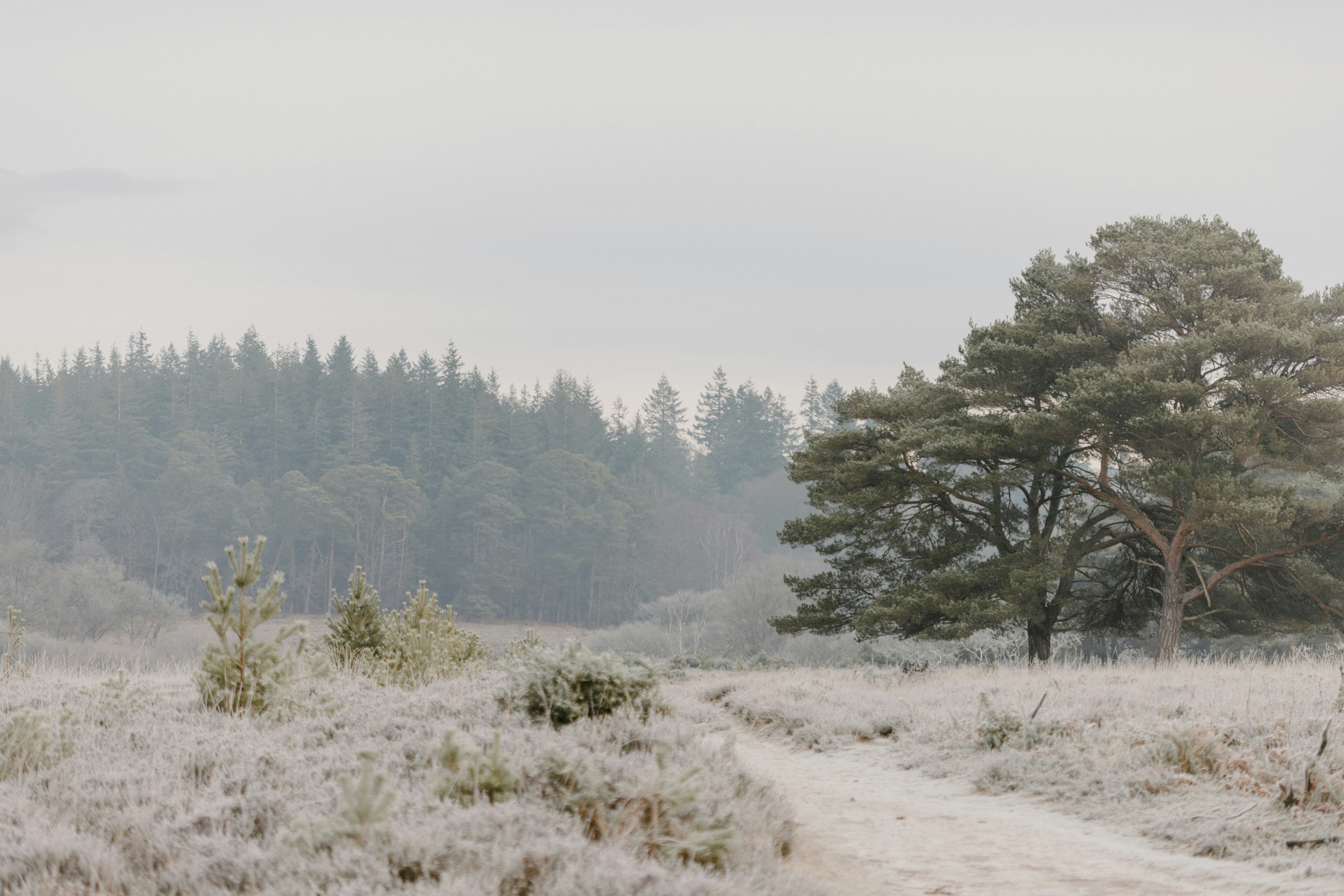 Photo by anniespratt