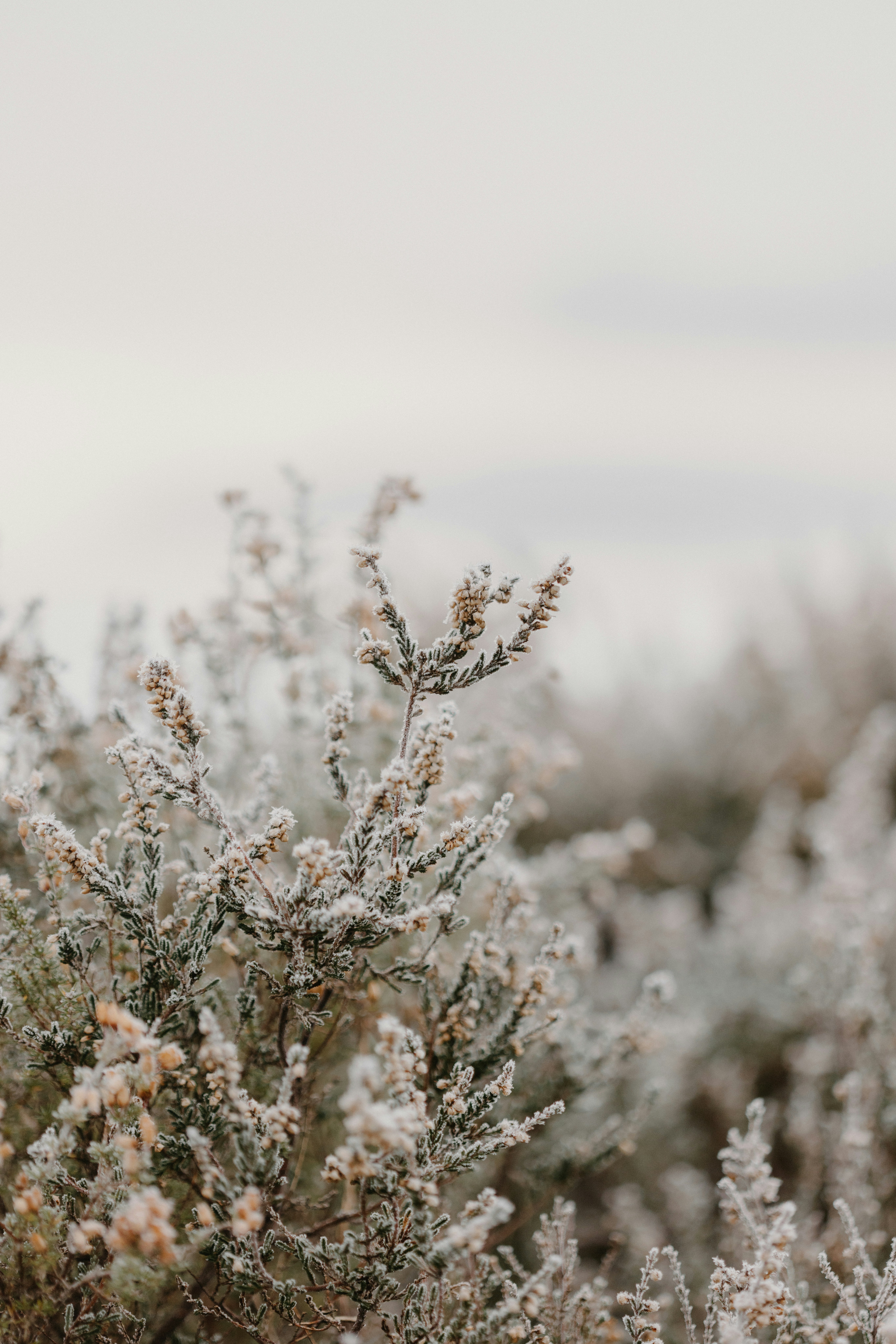 Photo by anniespratt