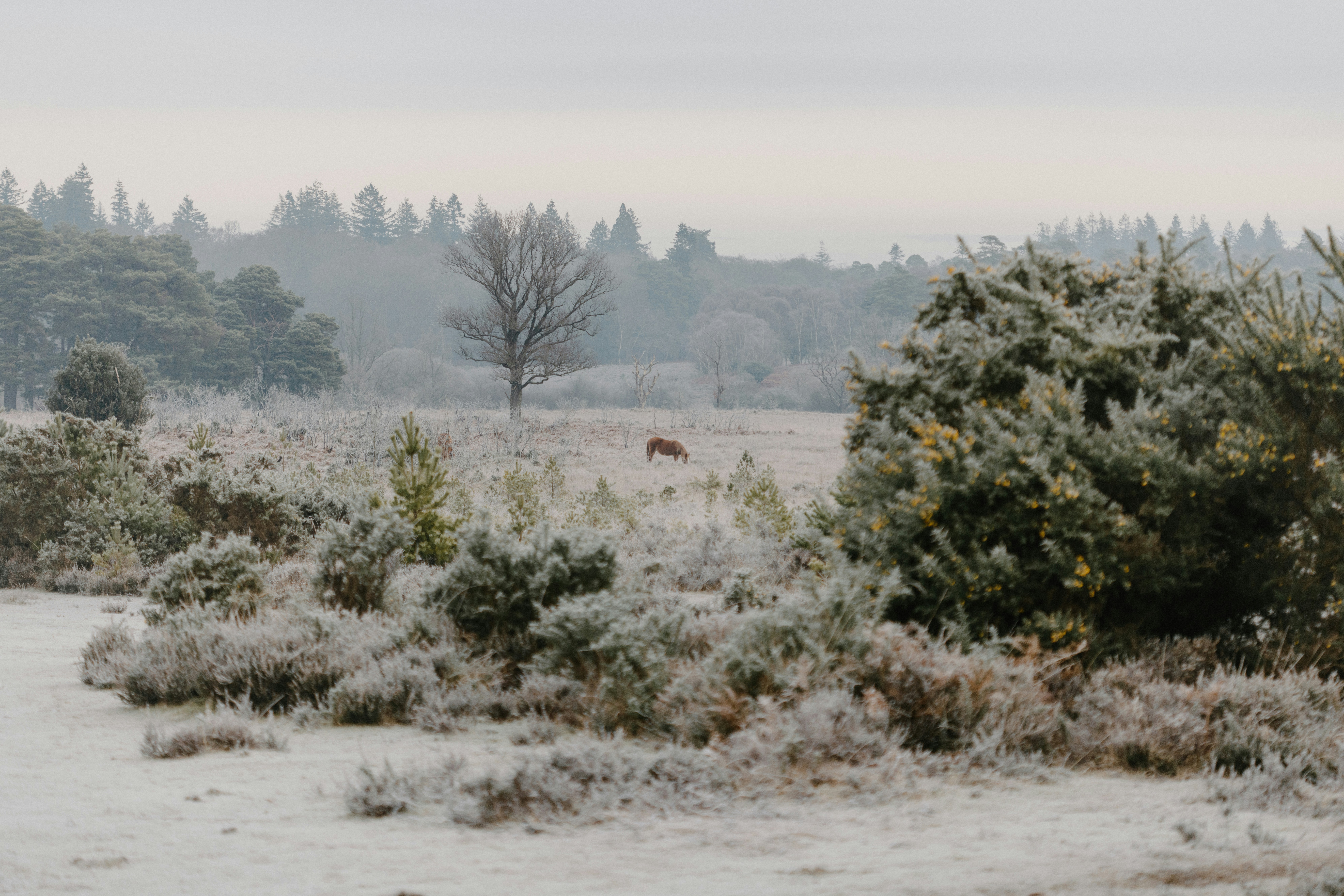 Photo by anniespratt