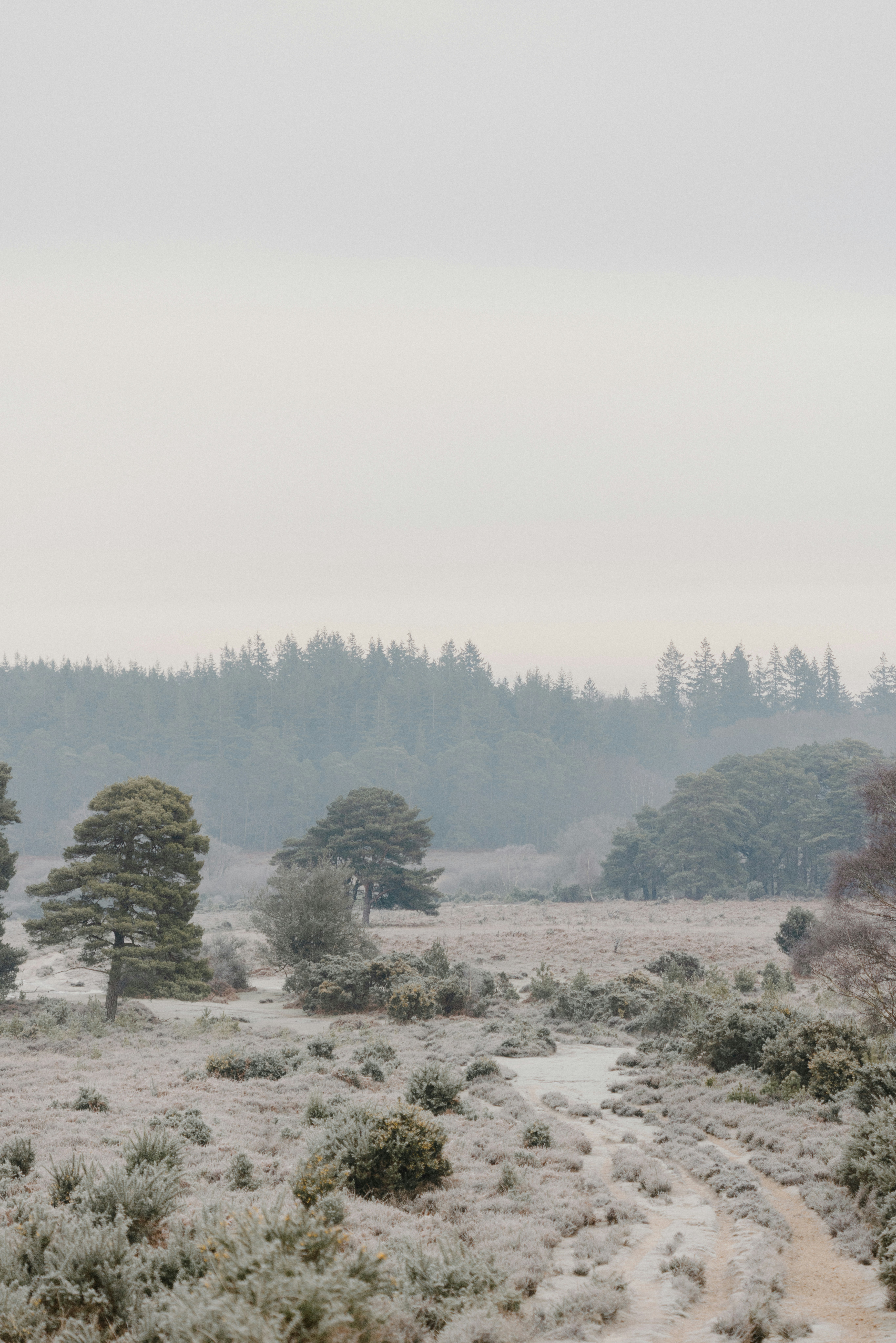 Photo by anniespratt