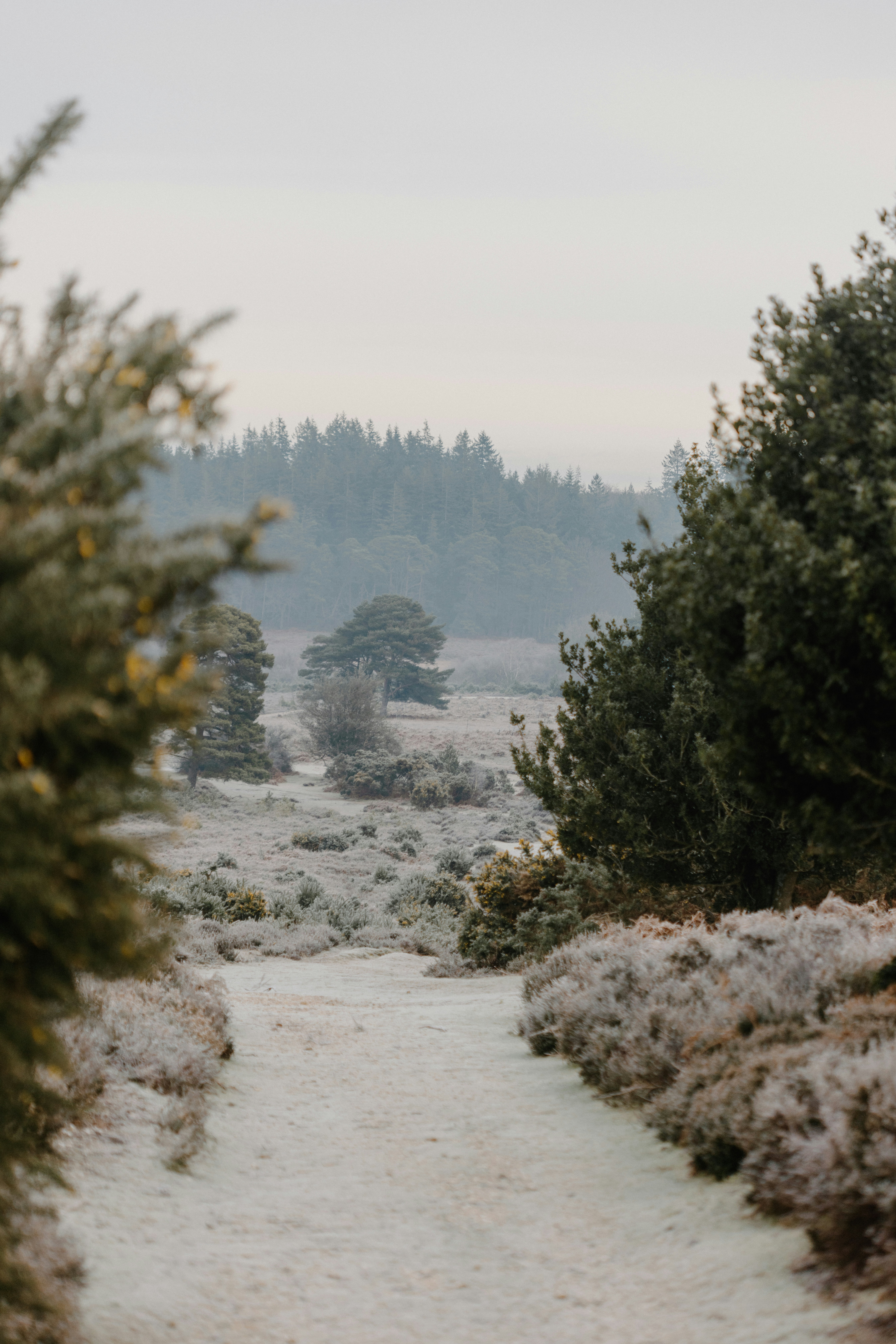 Photo by anniespratt