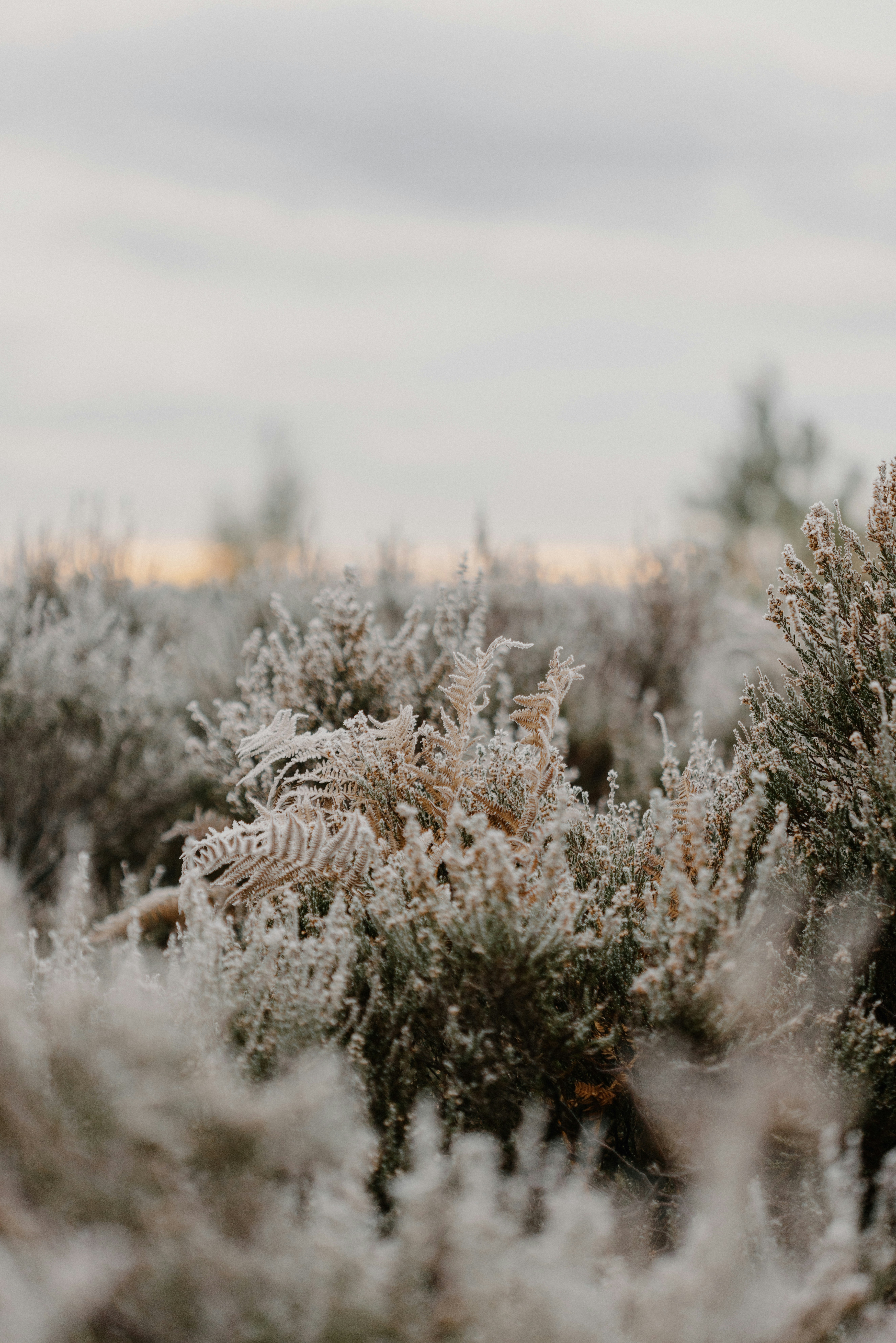 Photo by anniespratt