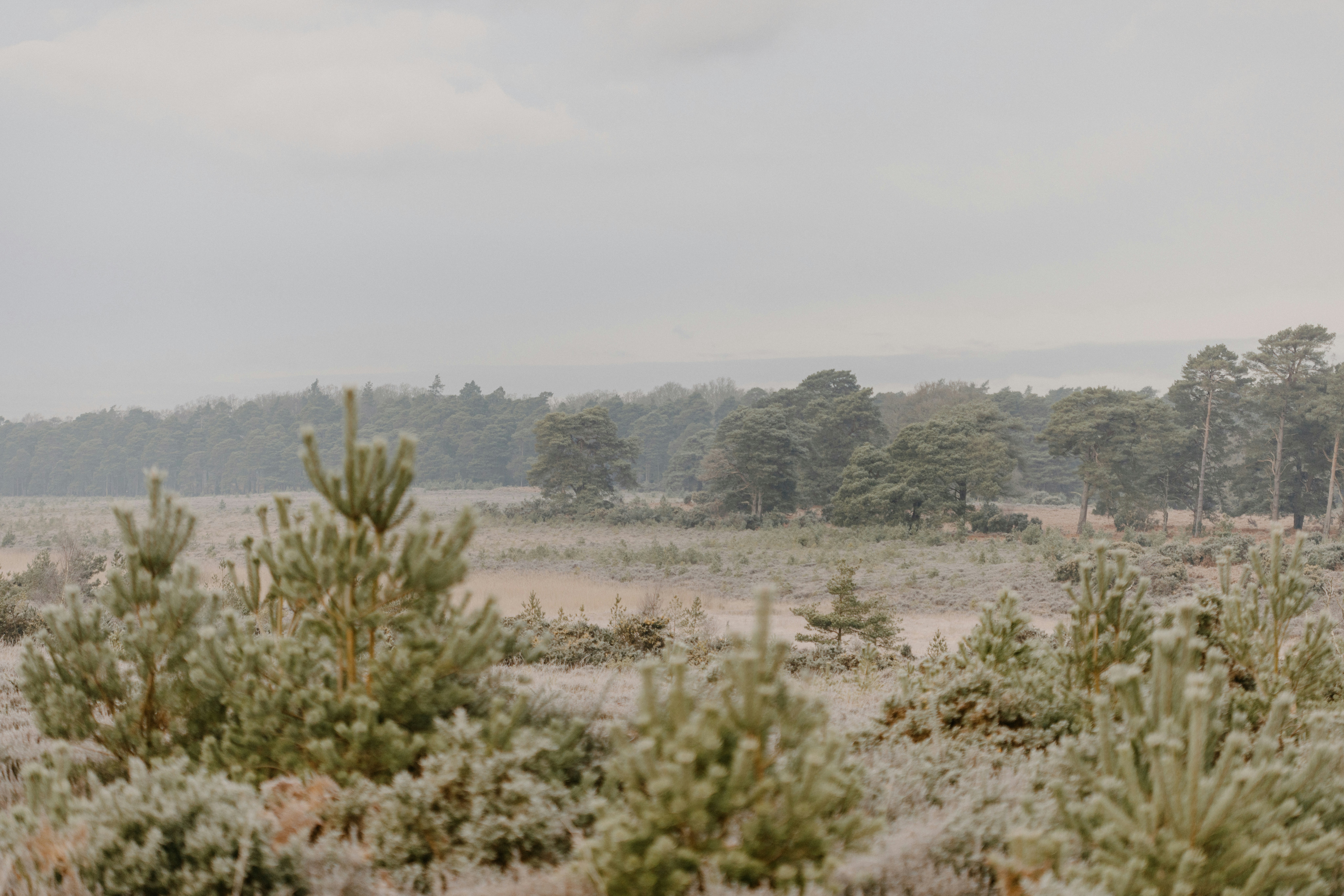 Photo by anniespratt