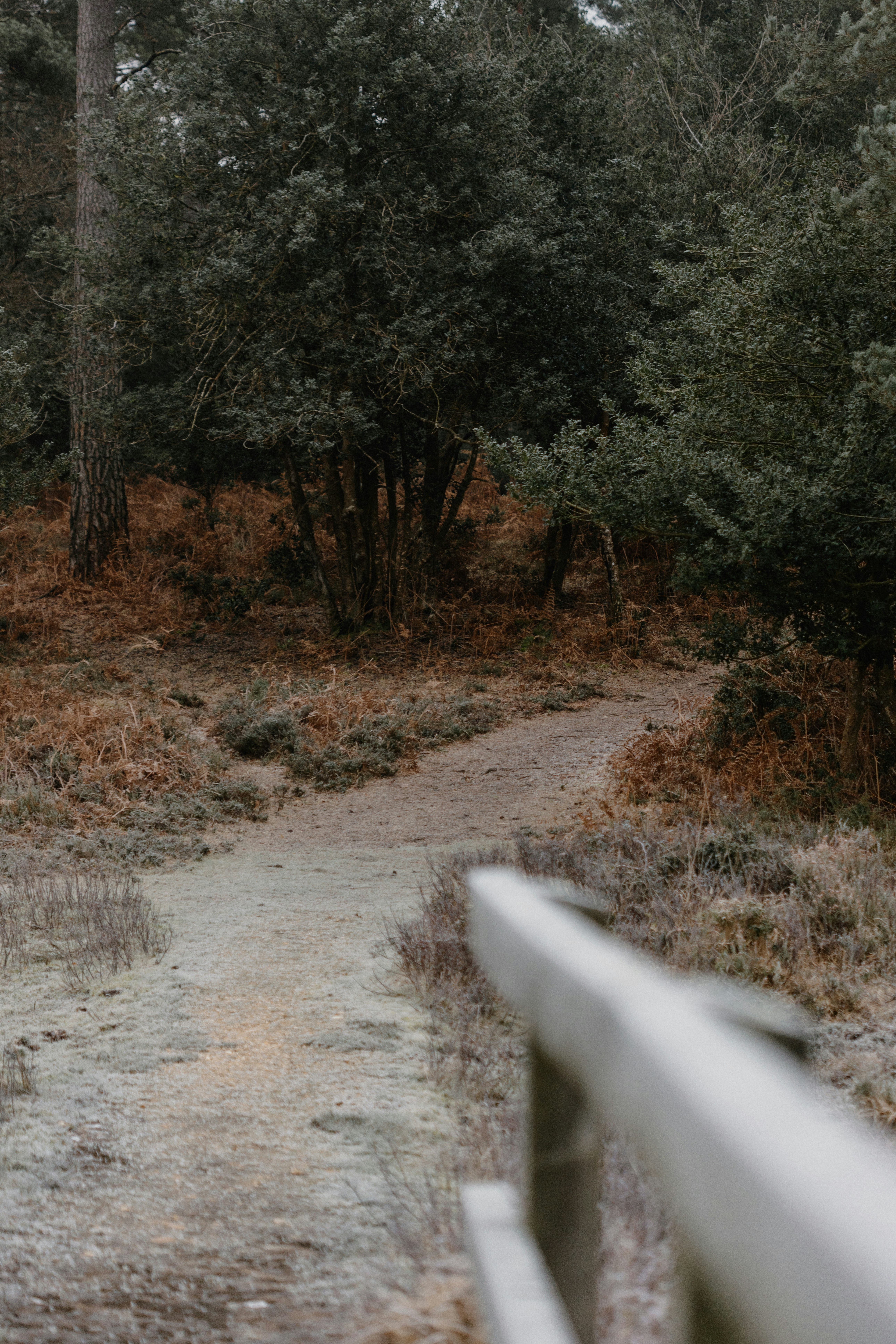 Photo by anniespratt