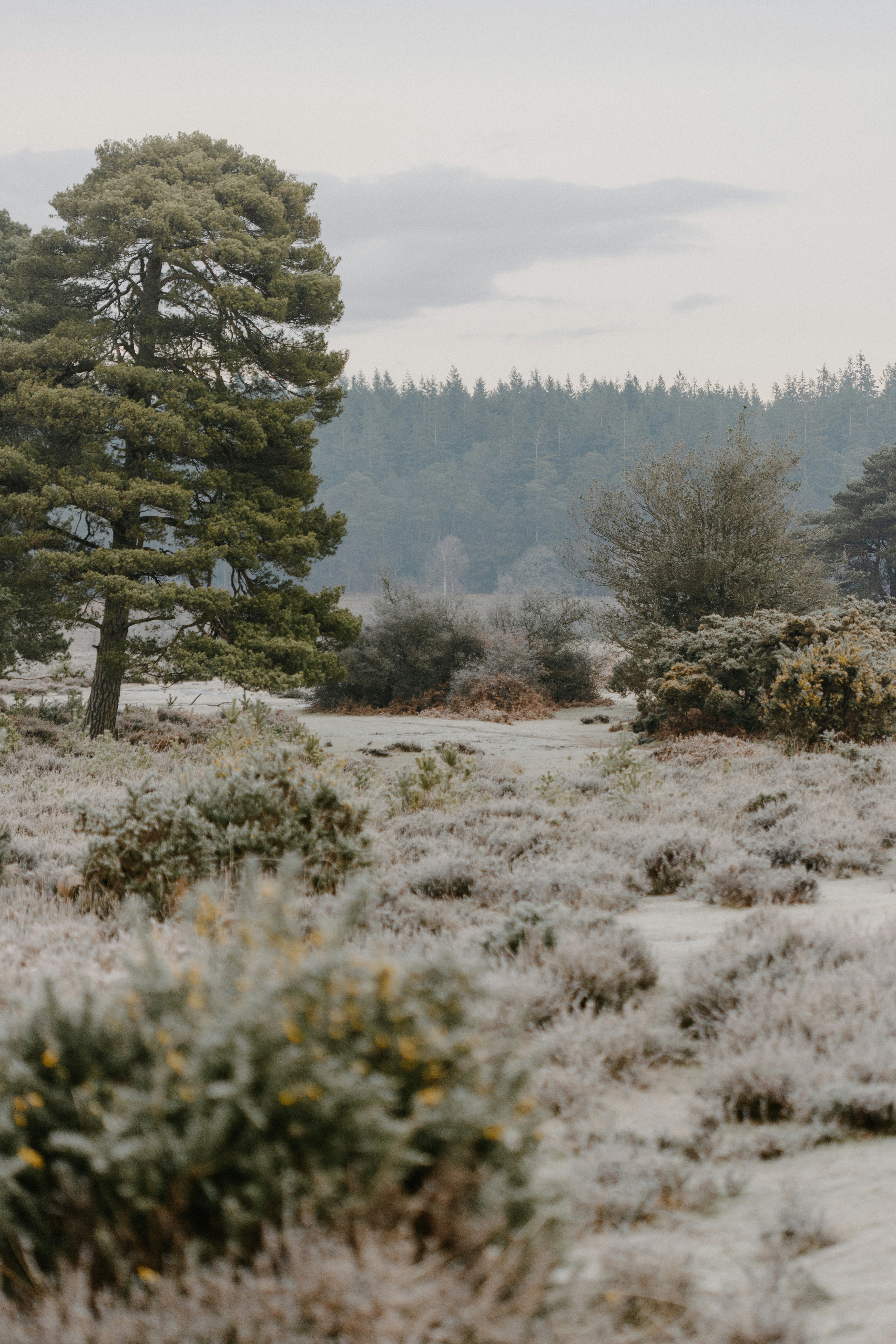 Photo by anniespratt