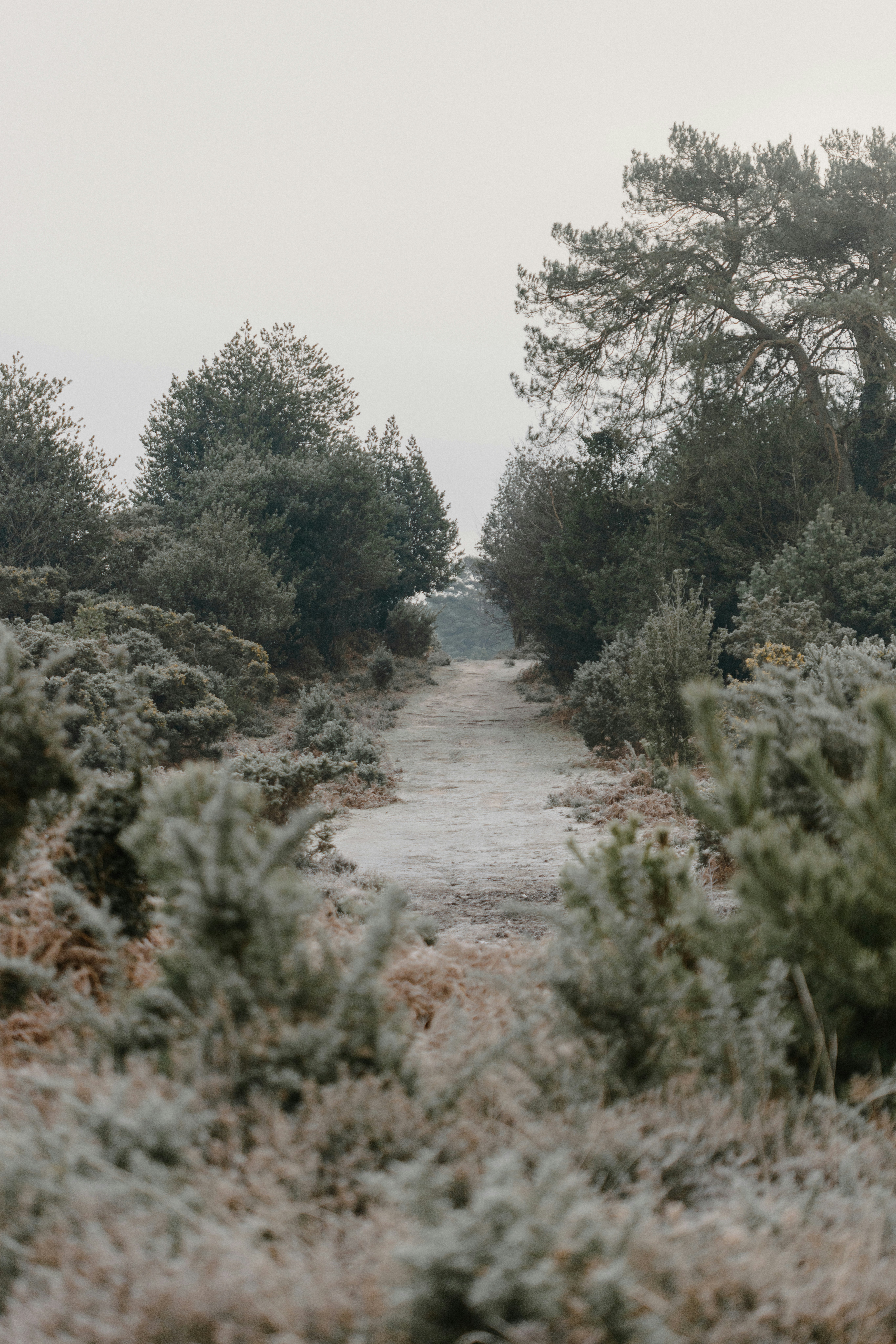 Photo by anniespratt