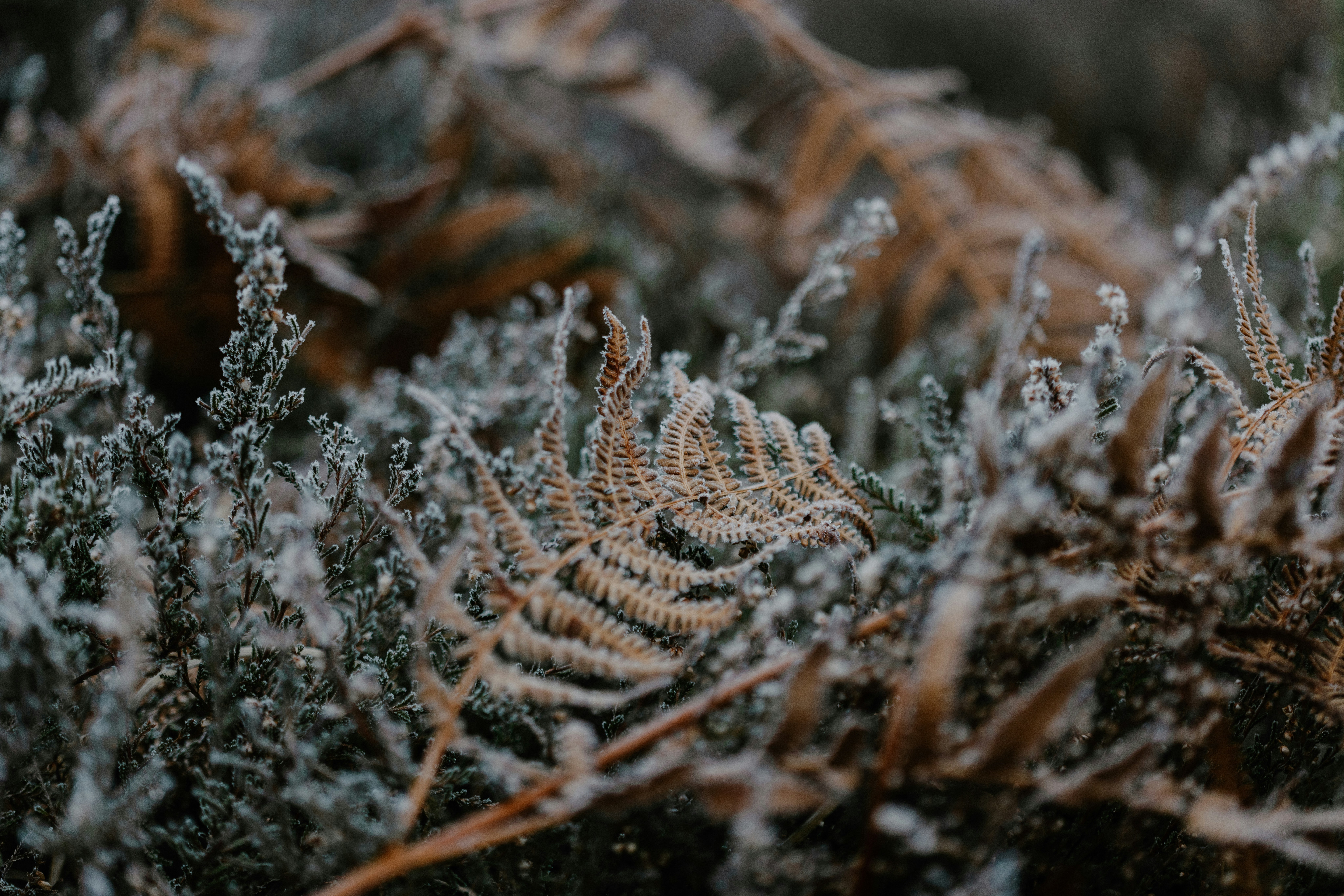 Photo by anniespratt