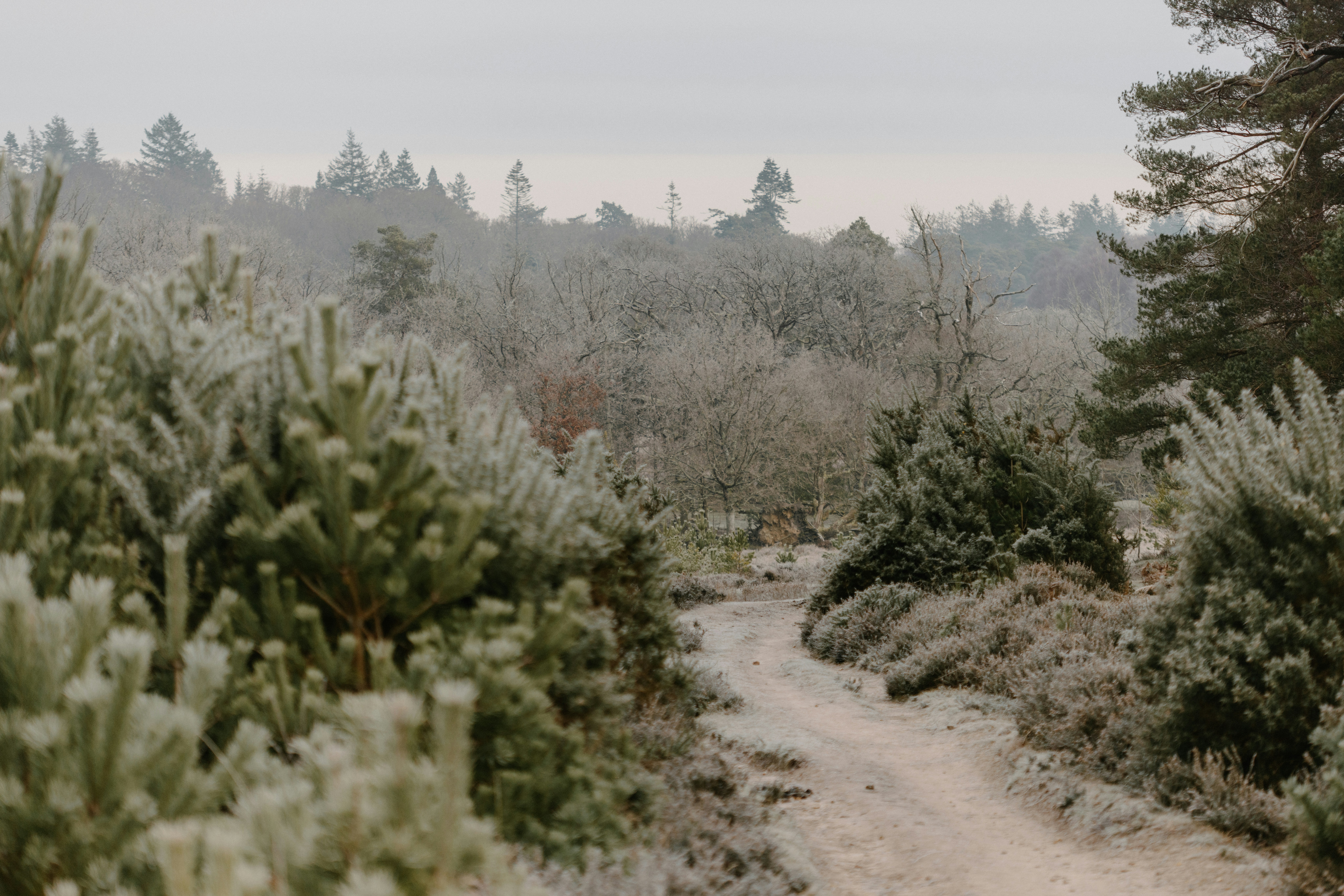 Photo by anniespratt