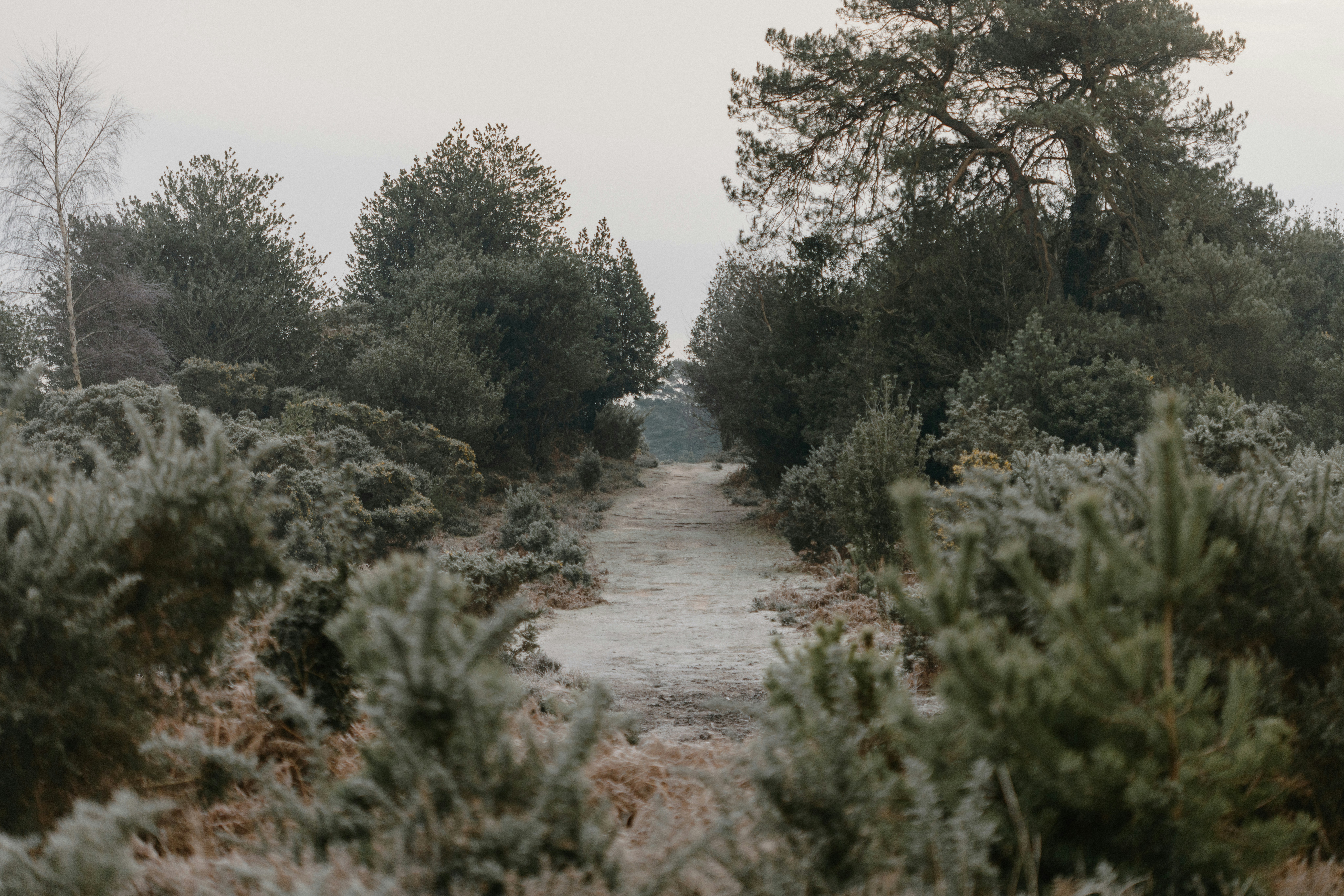 Photo by anniespratt